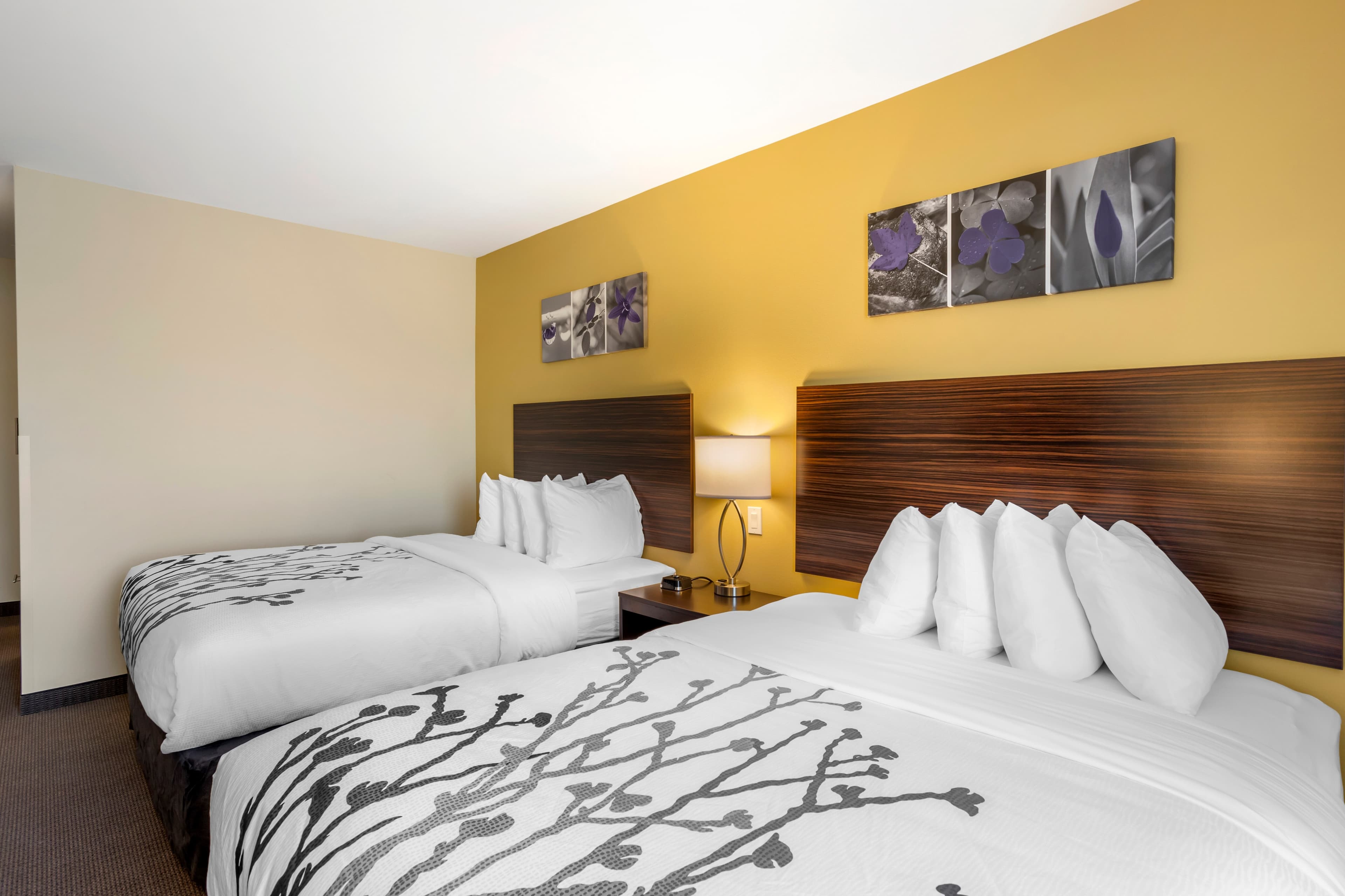 Sleep Inn North - Central York — 13