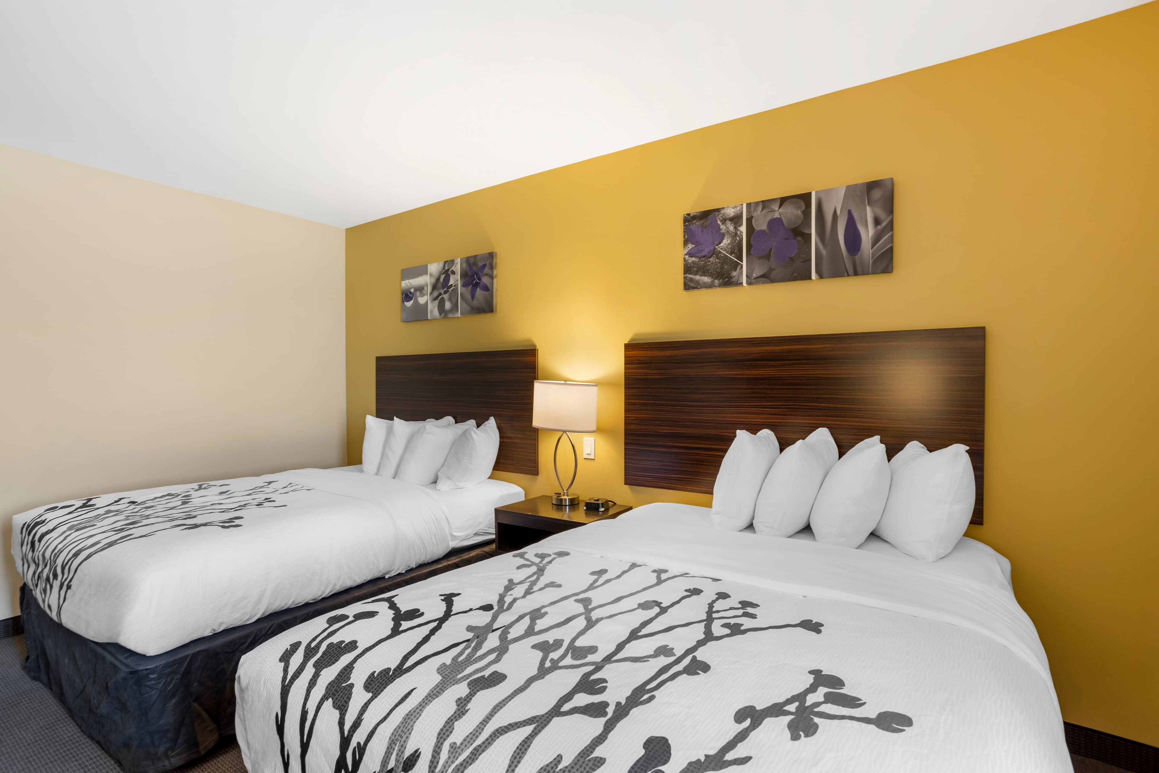 Sleep Inn North - Central York - Image 3