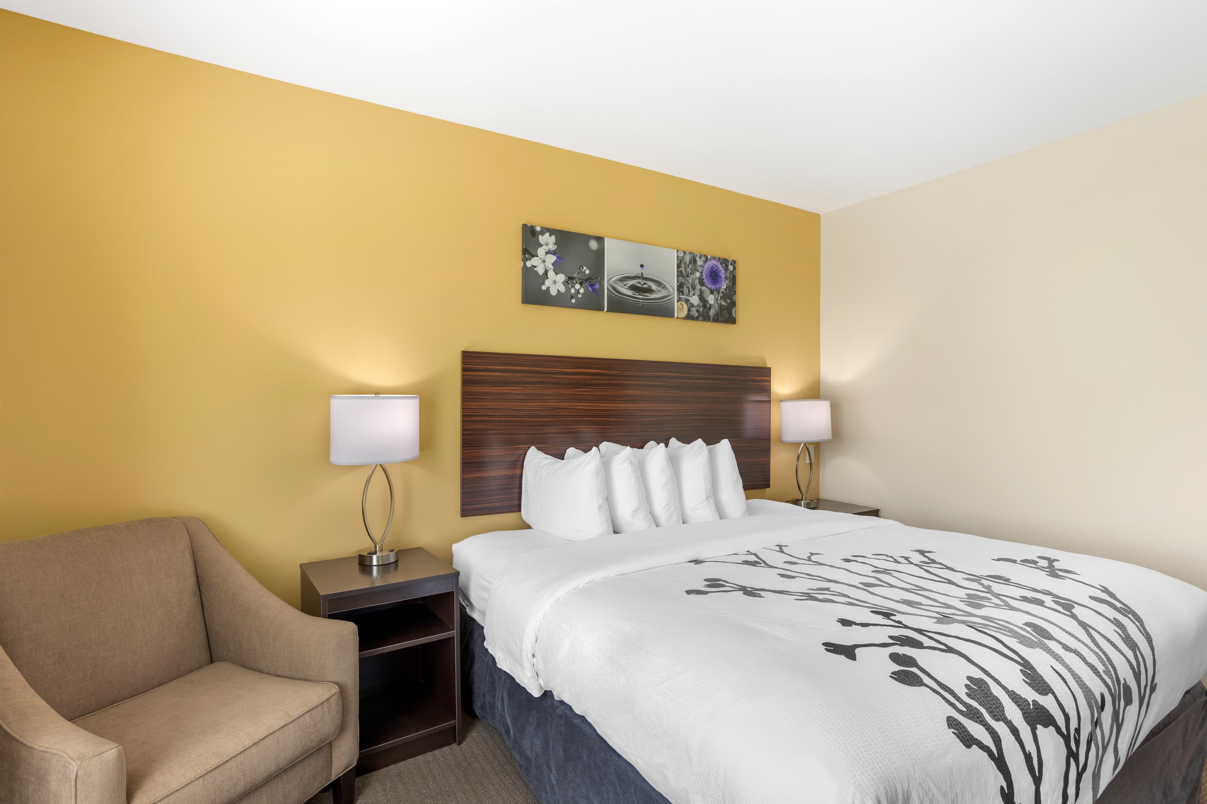 Sleep Inn North - Central York — 10