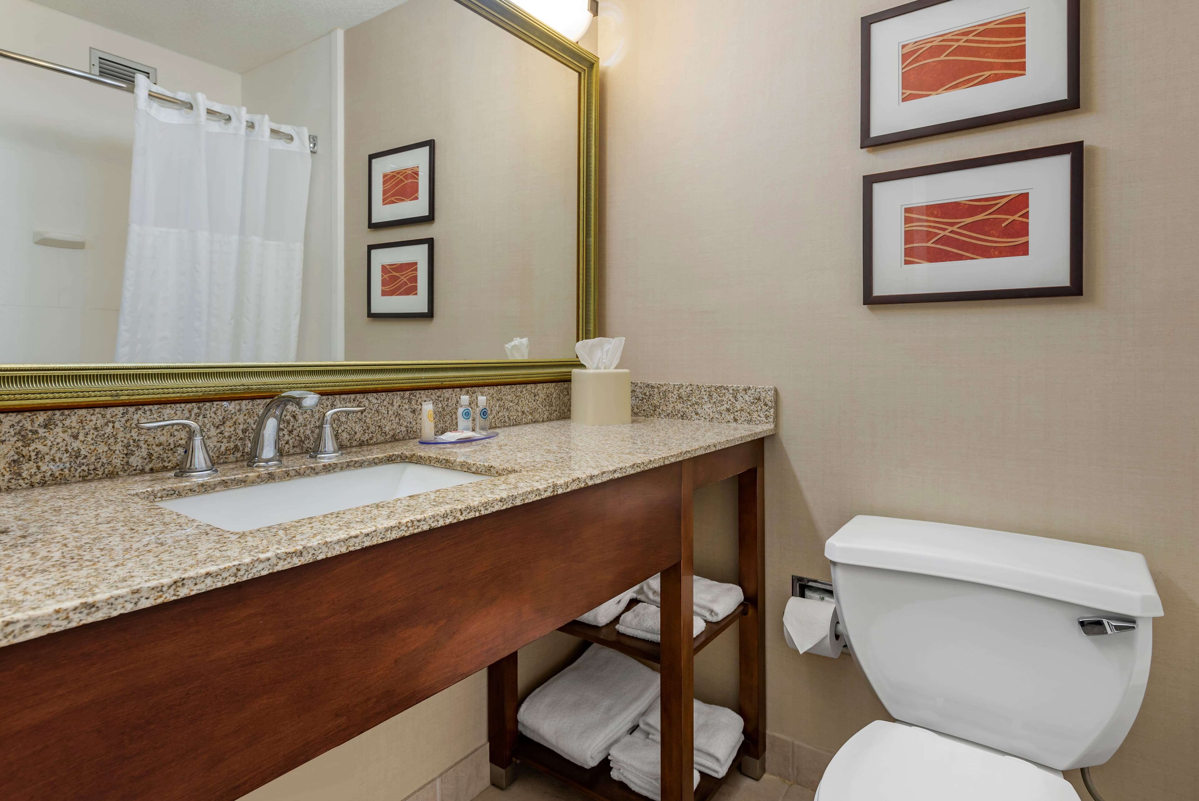 Comfort Inn Lancaster County North - Image 4