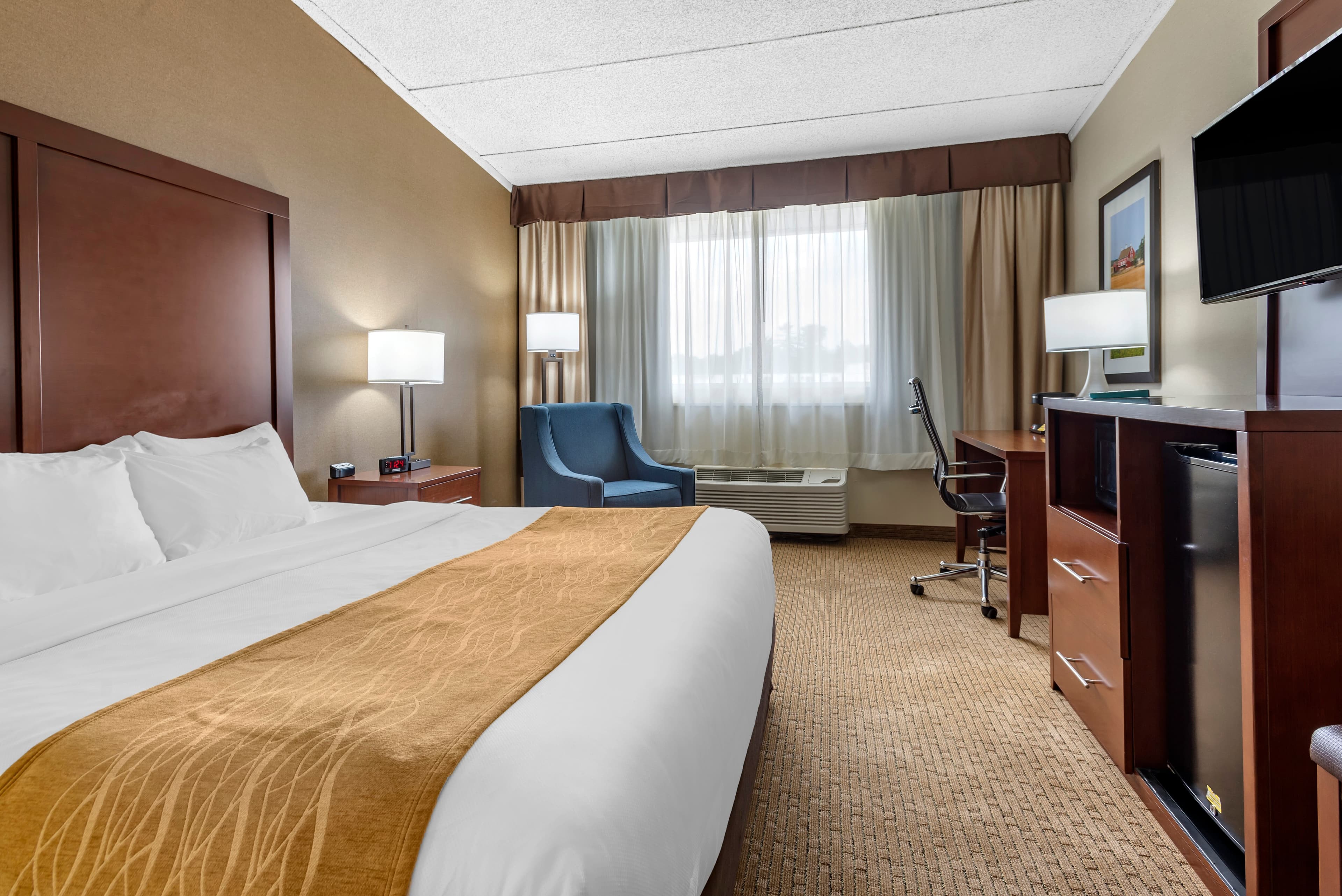 Comfort Inn Lancaster County North - Image 5