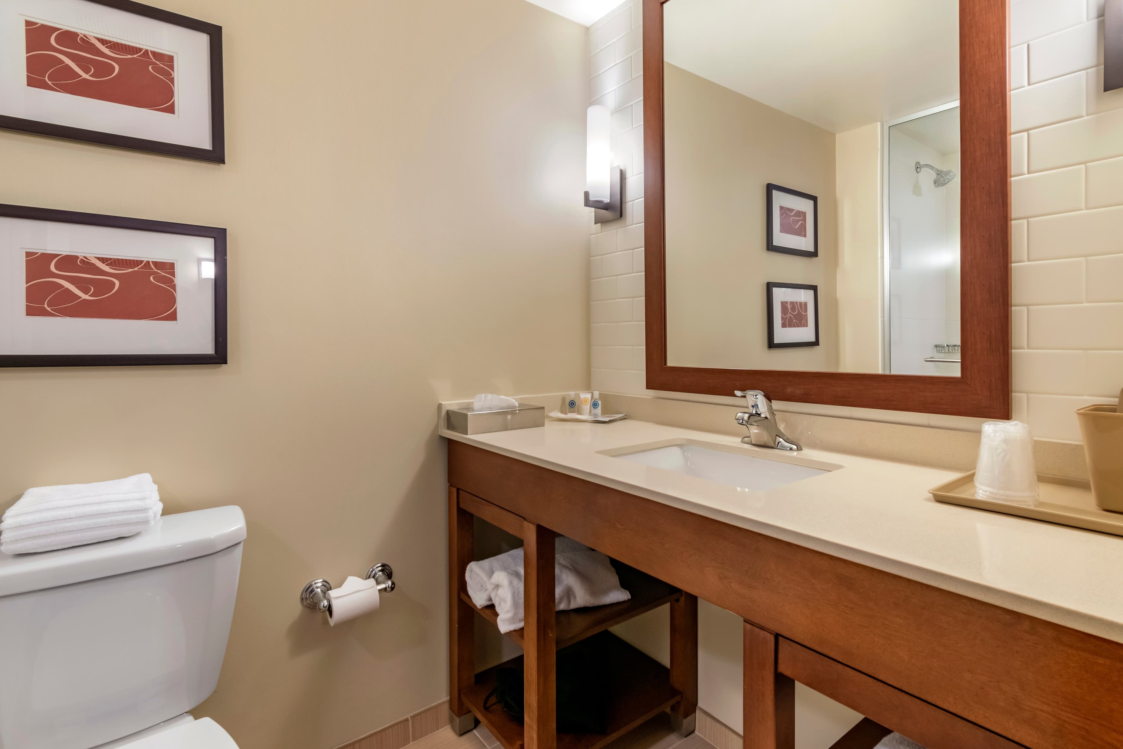 Comfort Suites Manheim - Lancaster — 5