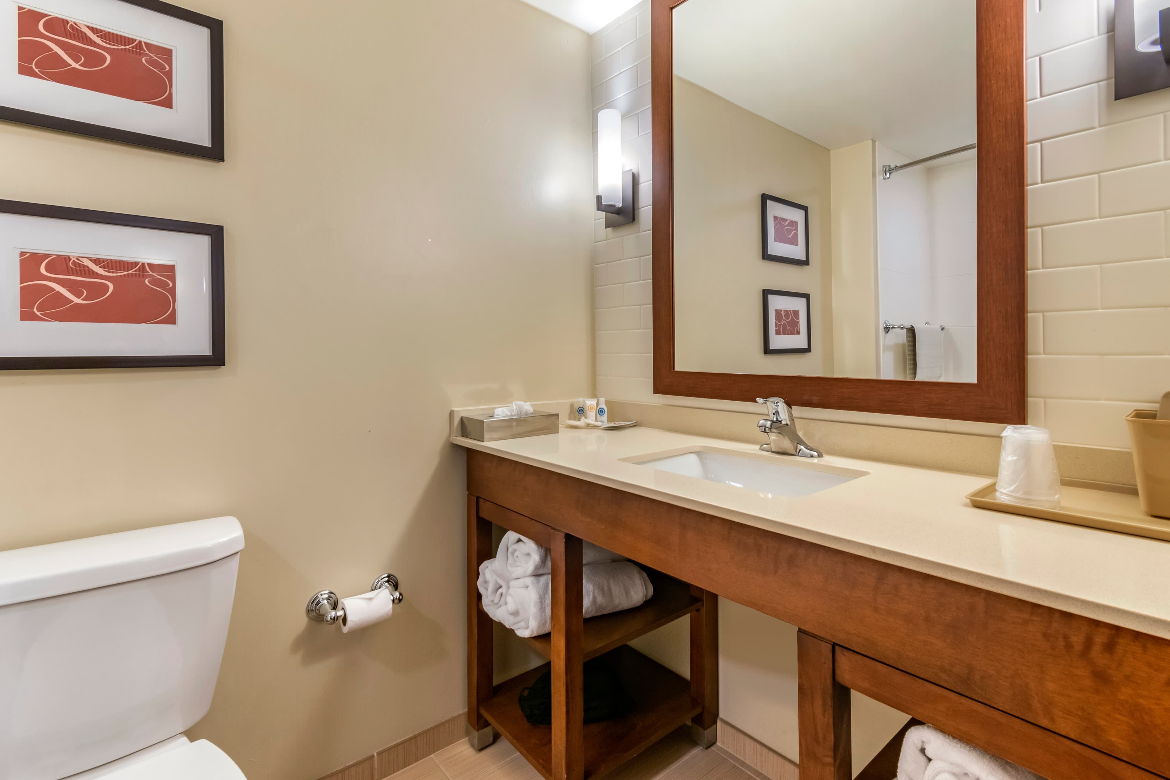 Comfort Suites Manheim - Lancaster — 30
