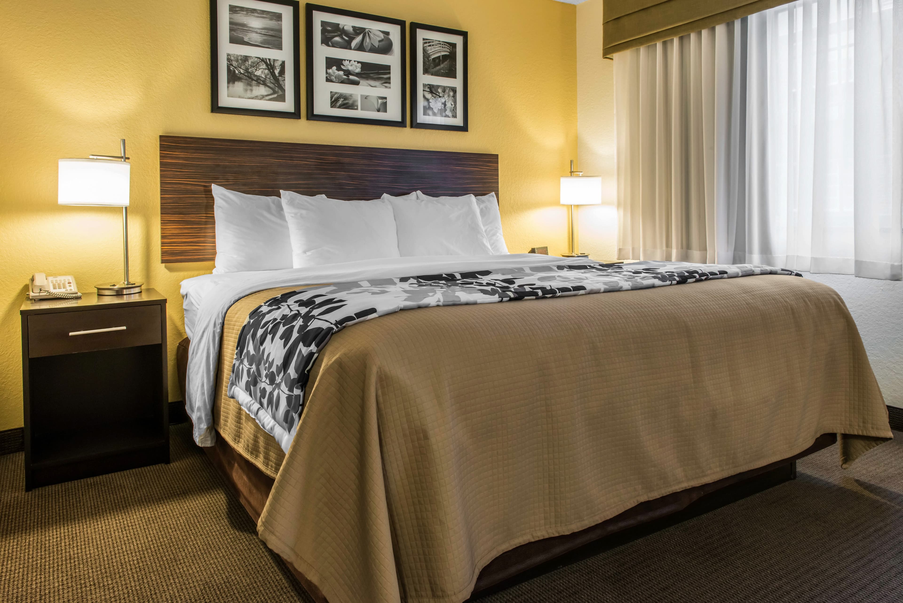 Sleep Inn & Suites Pittsburgh Airport — 12