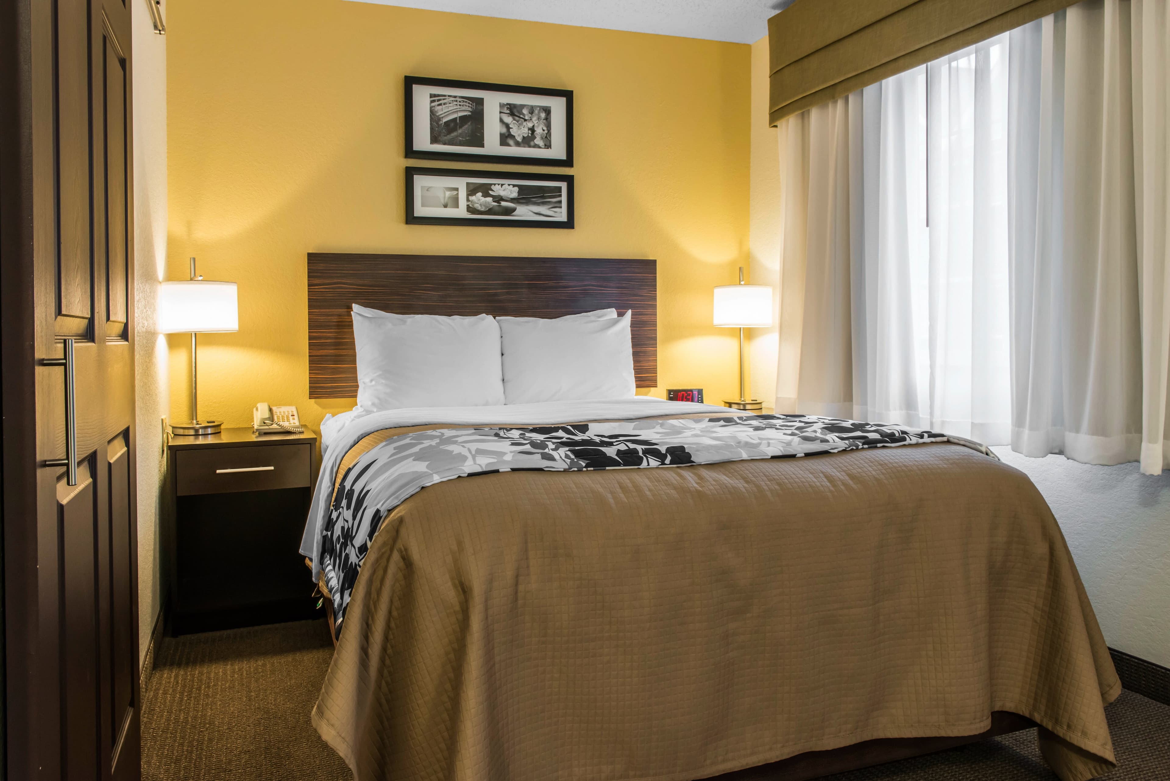 Sleep Inn & Suites Pittsburgh Airport - Image 1