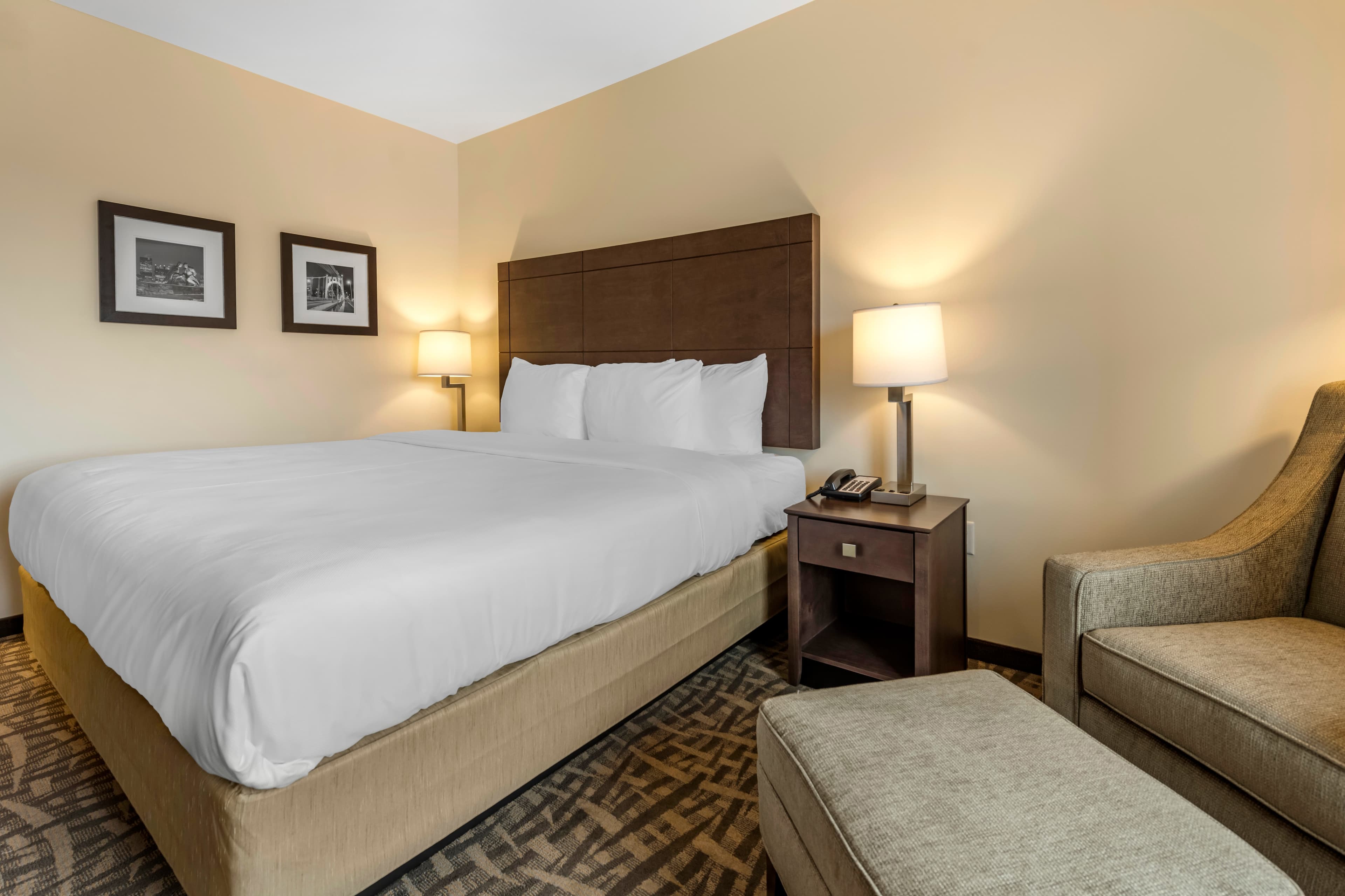 Comfort Inn & Suites Pittsburgh-Northshore — 3
