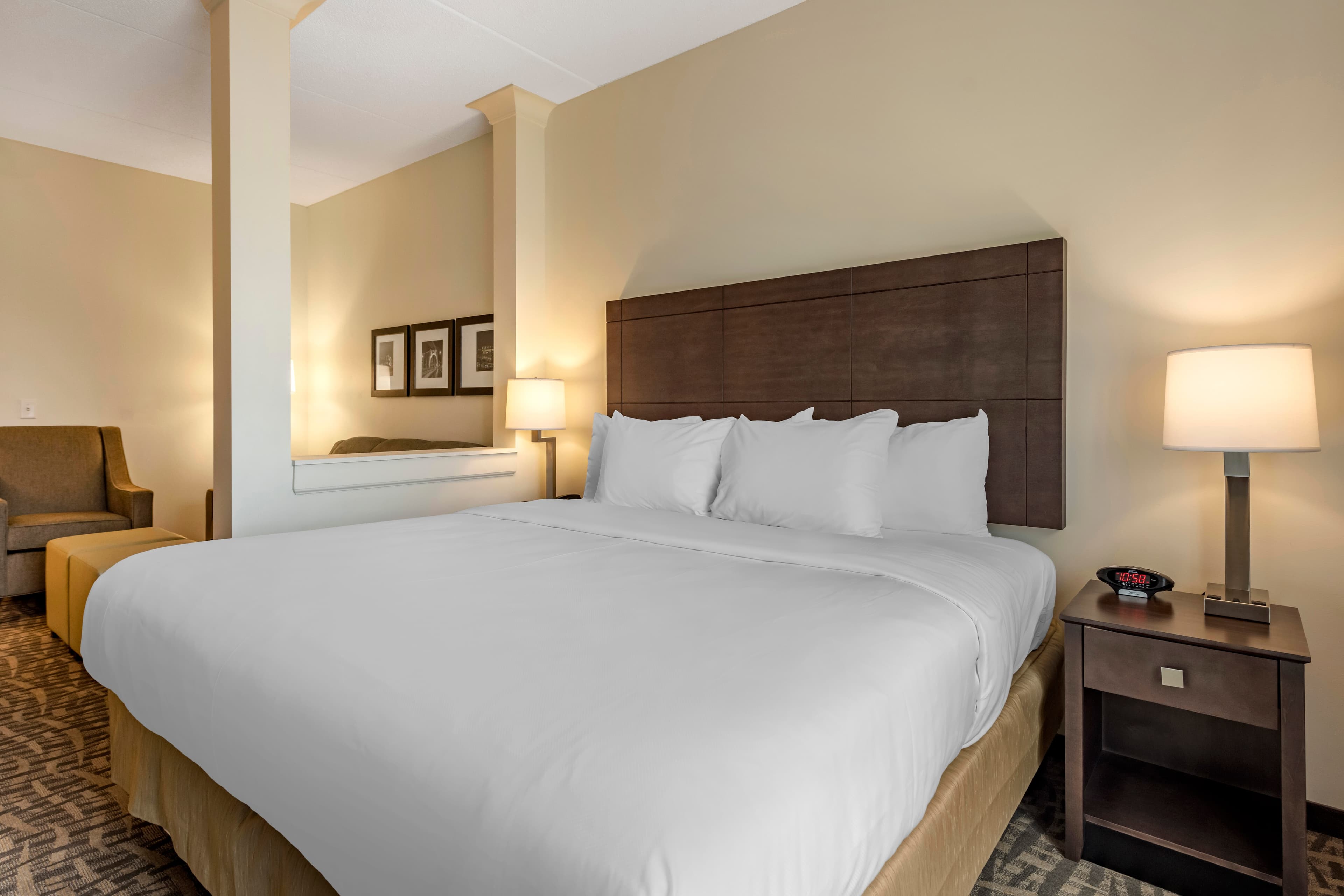 Comfort Inn & Suites Pittsburgh-Northshore — 24