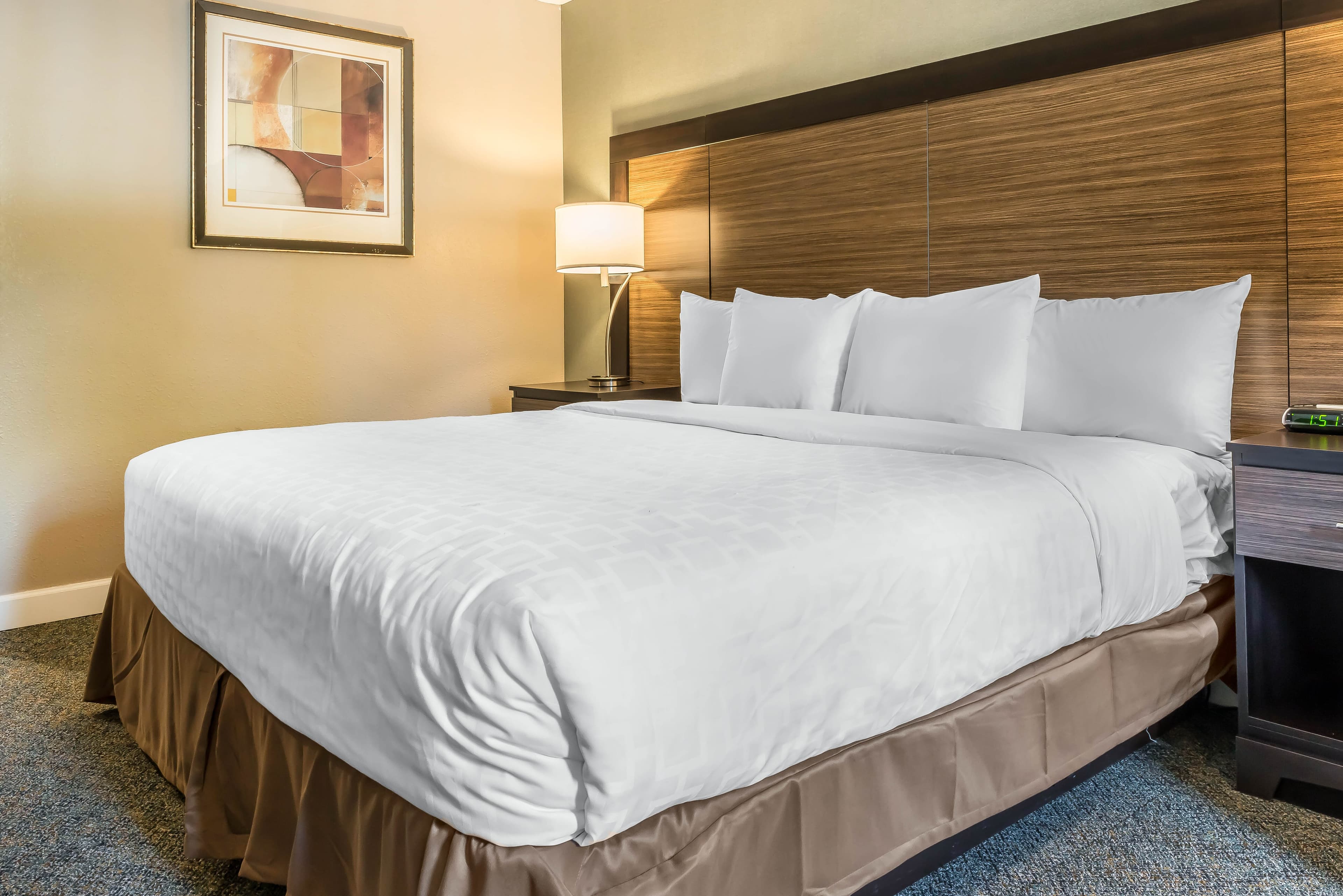 Clarion Inn Belle Vernon — 10