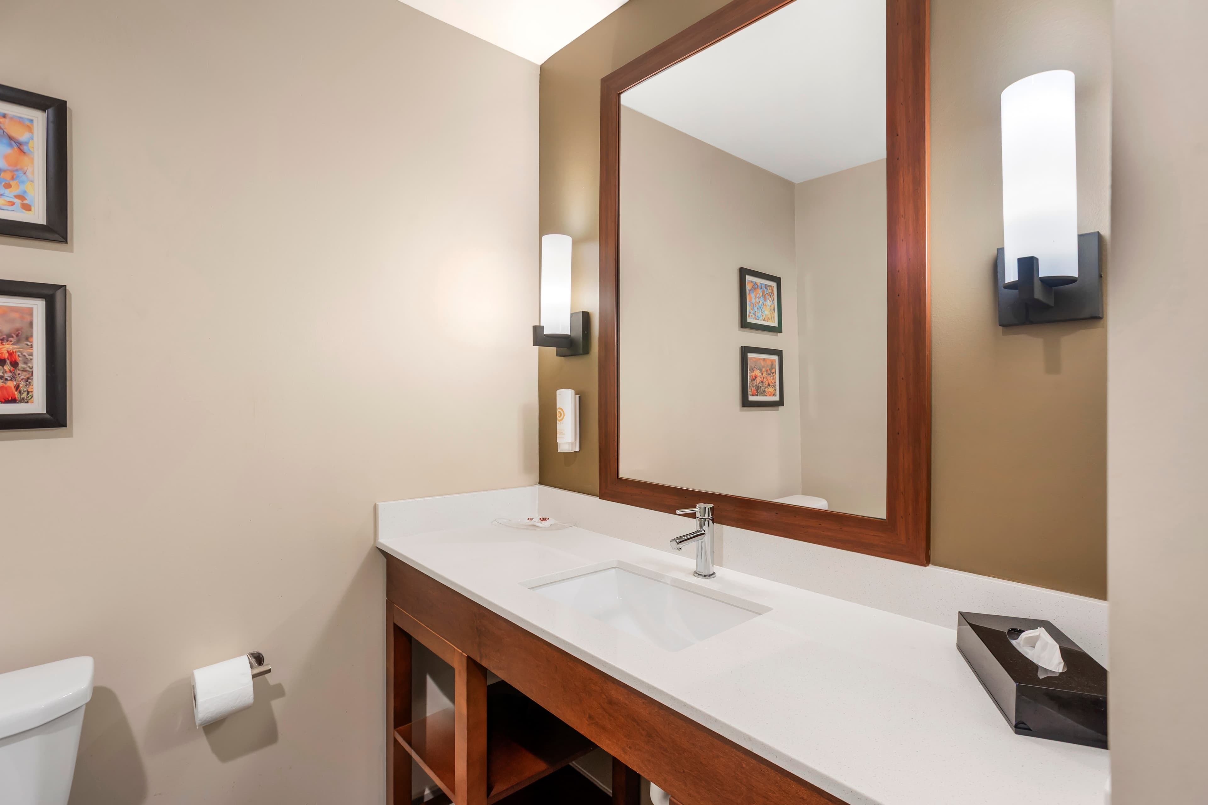 Comfort Inn & Suites Gap Amish Country — 21