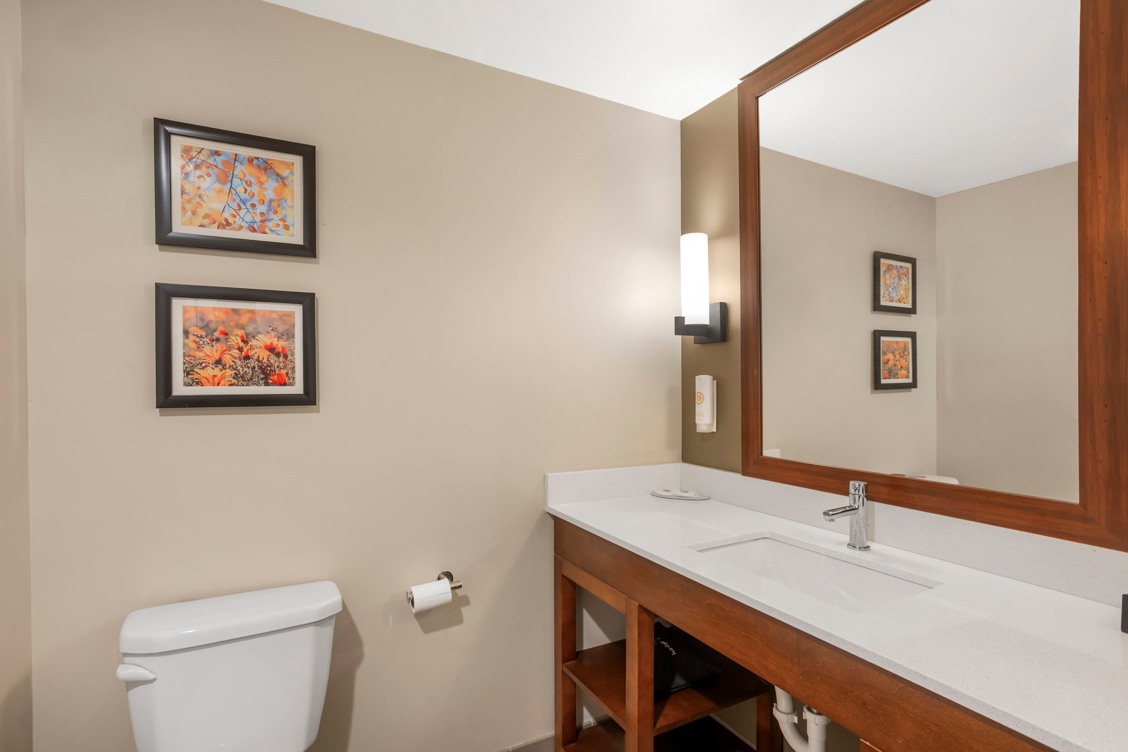 Comfort Inn & Suites Gap Amish Country — 25