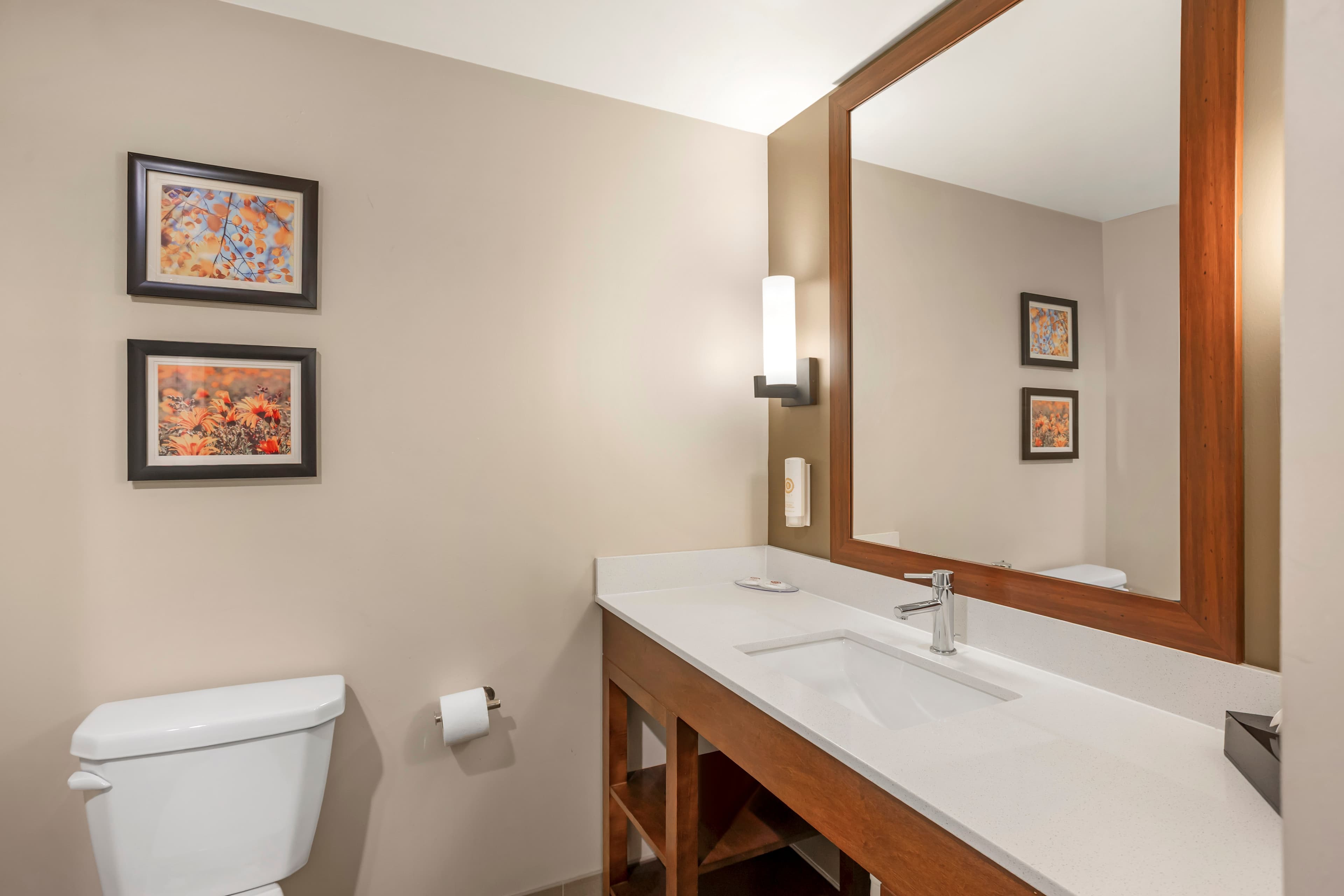 Comfort Inn & Suites Gap Amish Country — 37