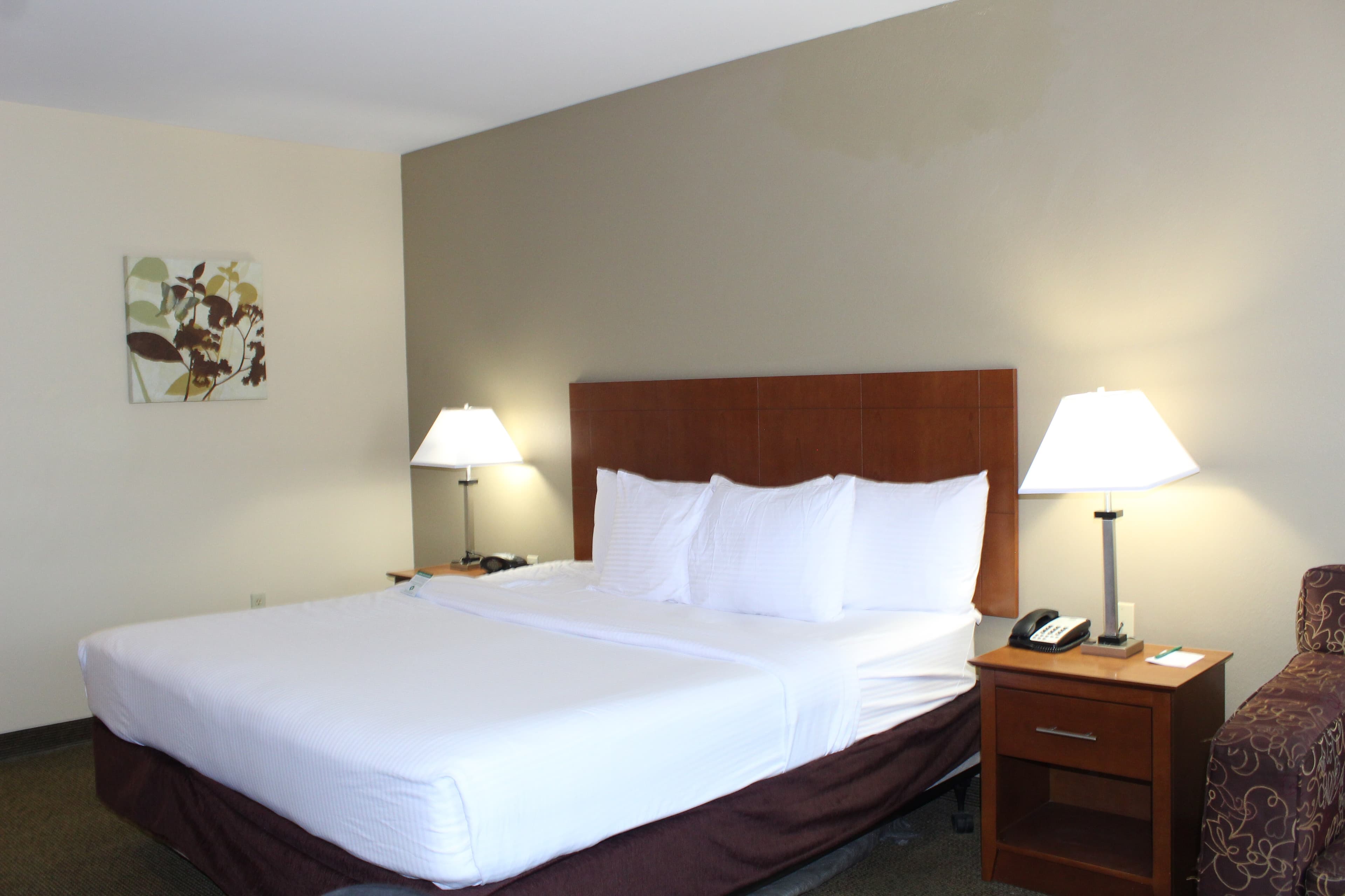 Quality Inn & Suites Williamsport - Image 2