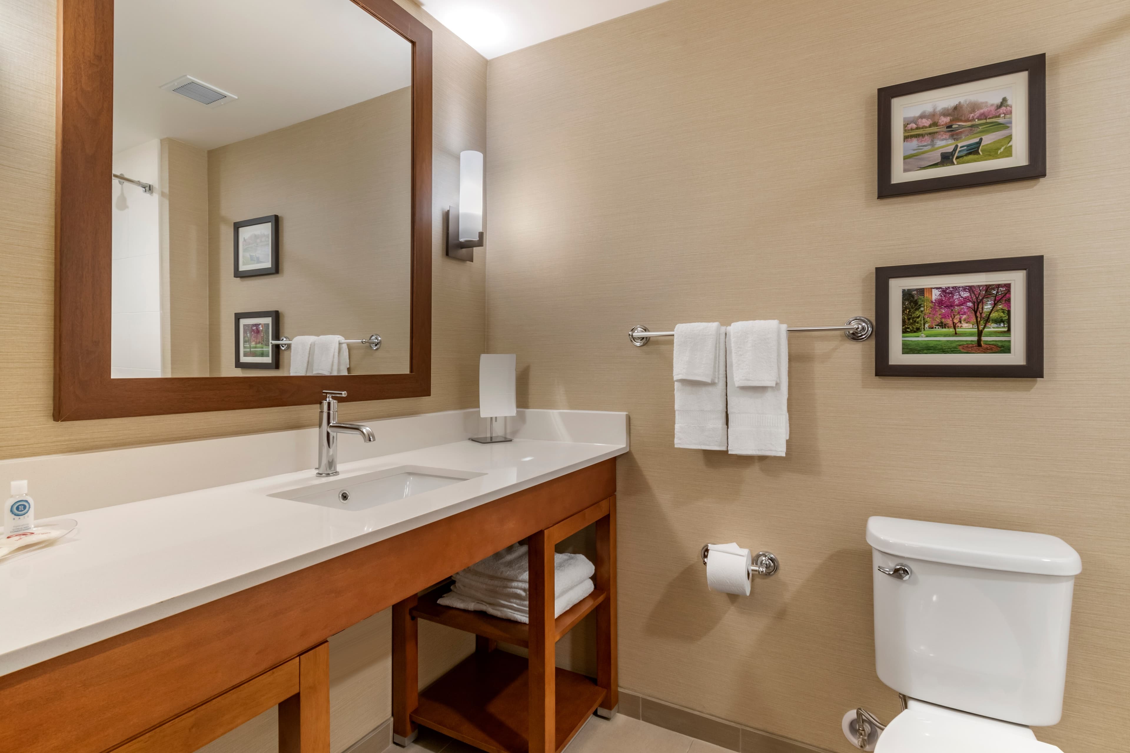 Comfort Suites Camp Hill-Harrisburg West — 18