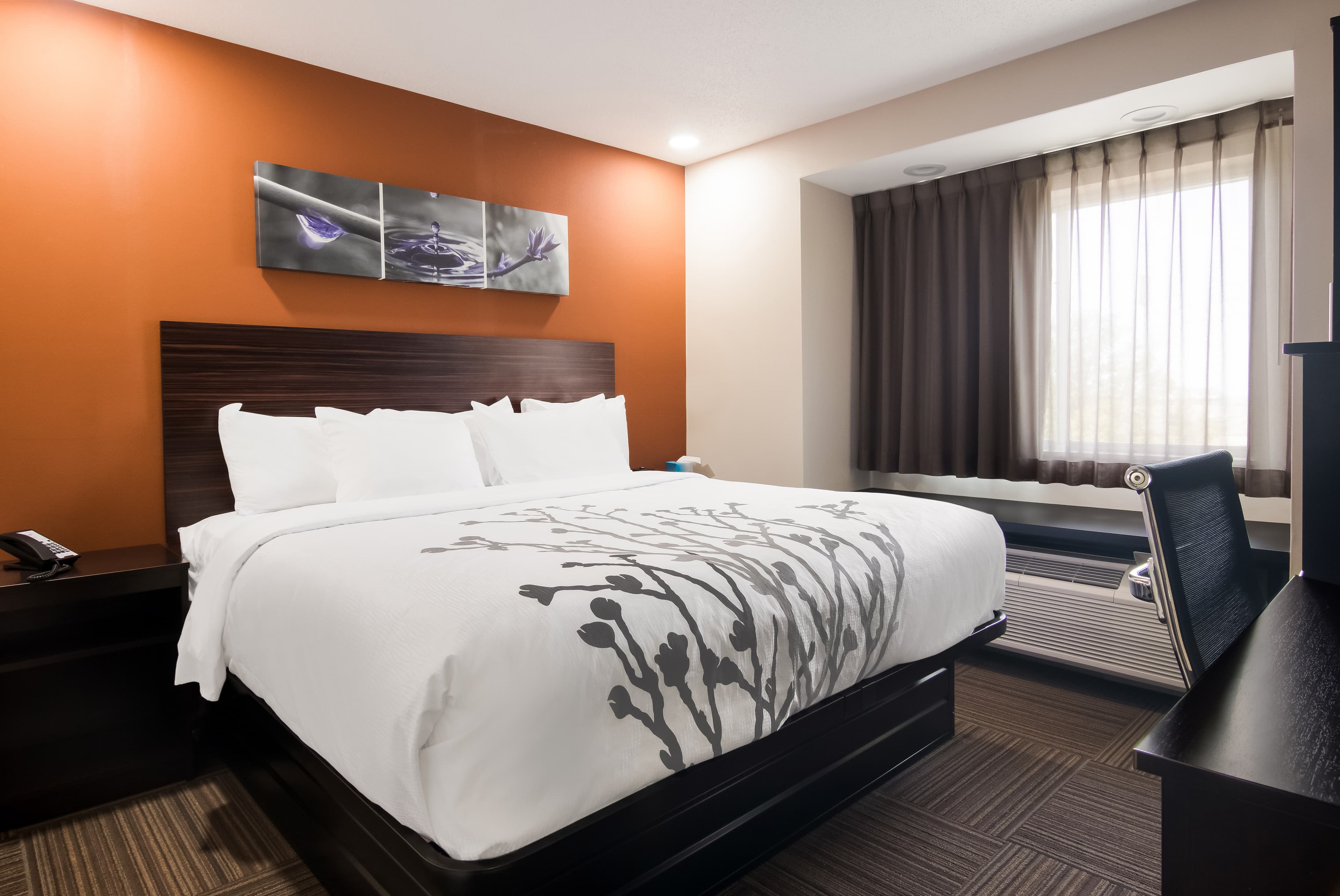 Sleep Inn Erie near Sports Center - Image 2