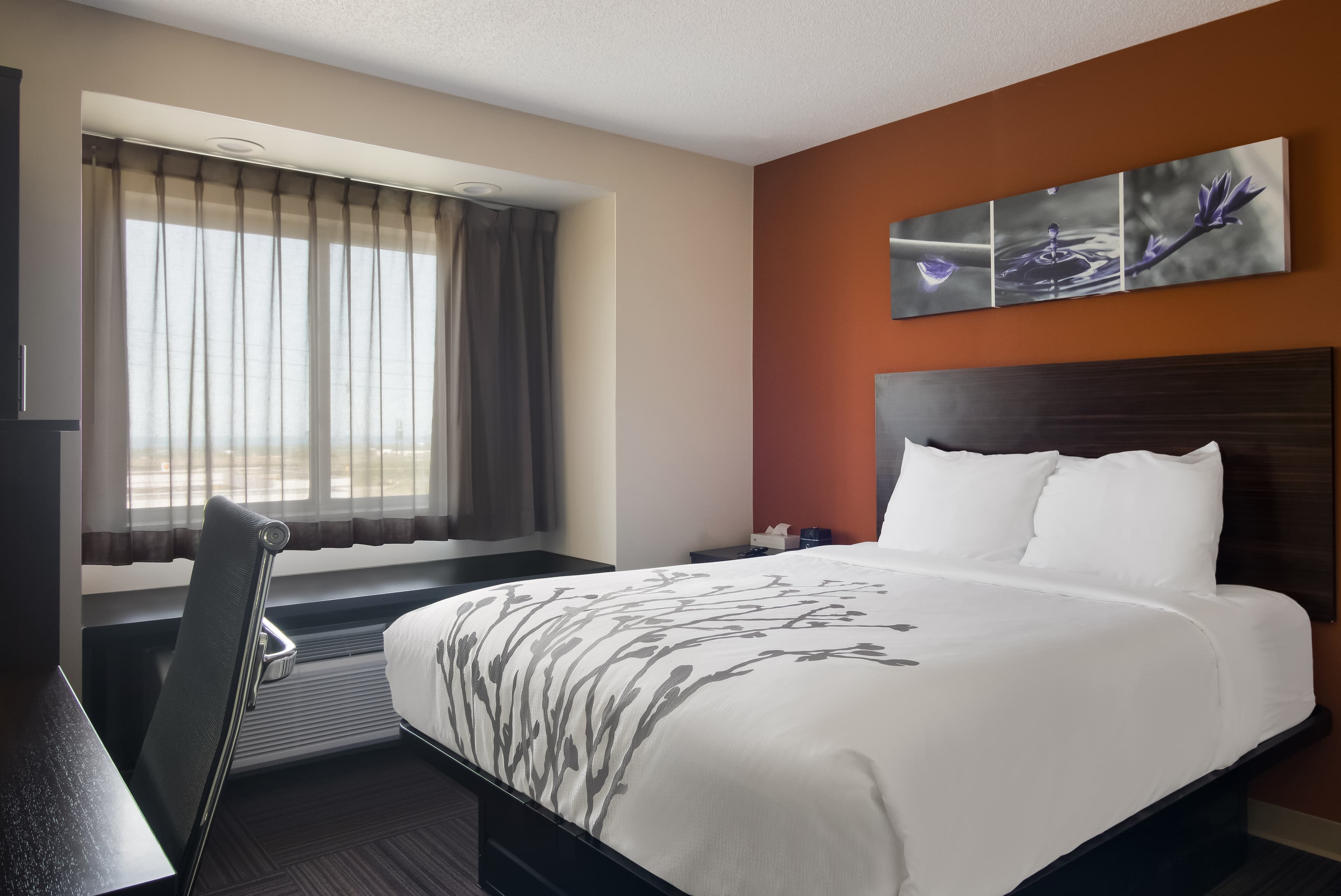 Sleep Inn Erie near Sports Center — 6
