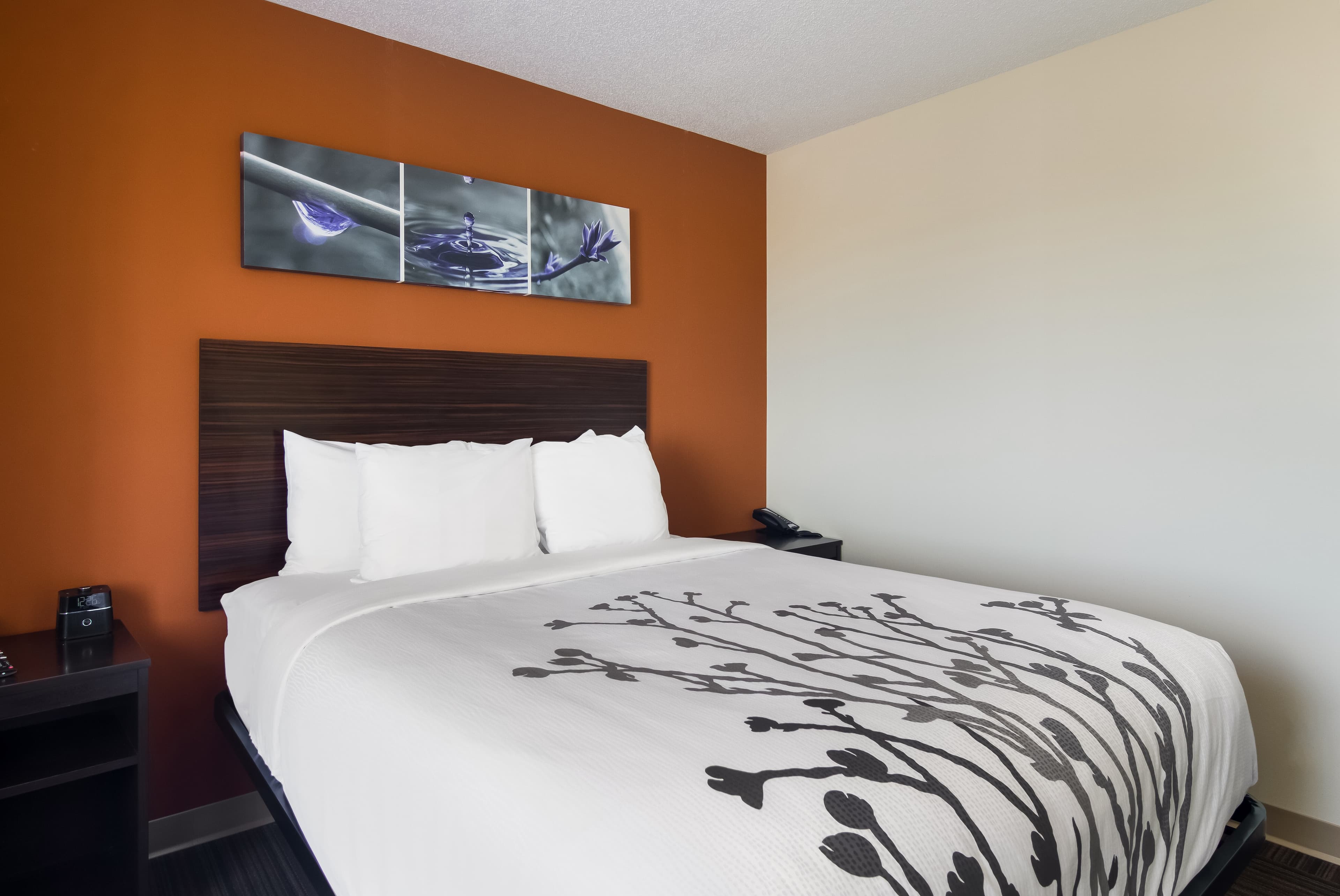 Sleep Inn Erie near Sports Center — 7