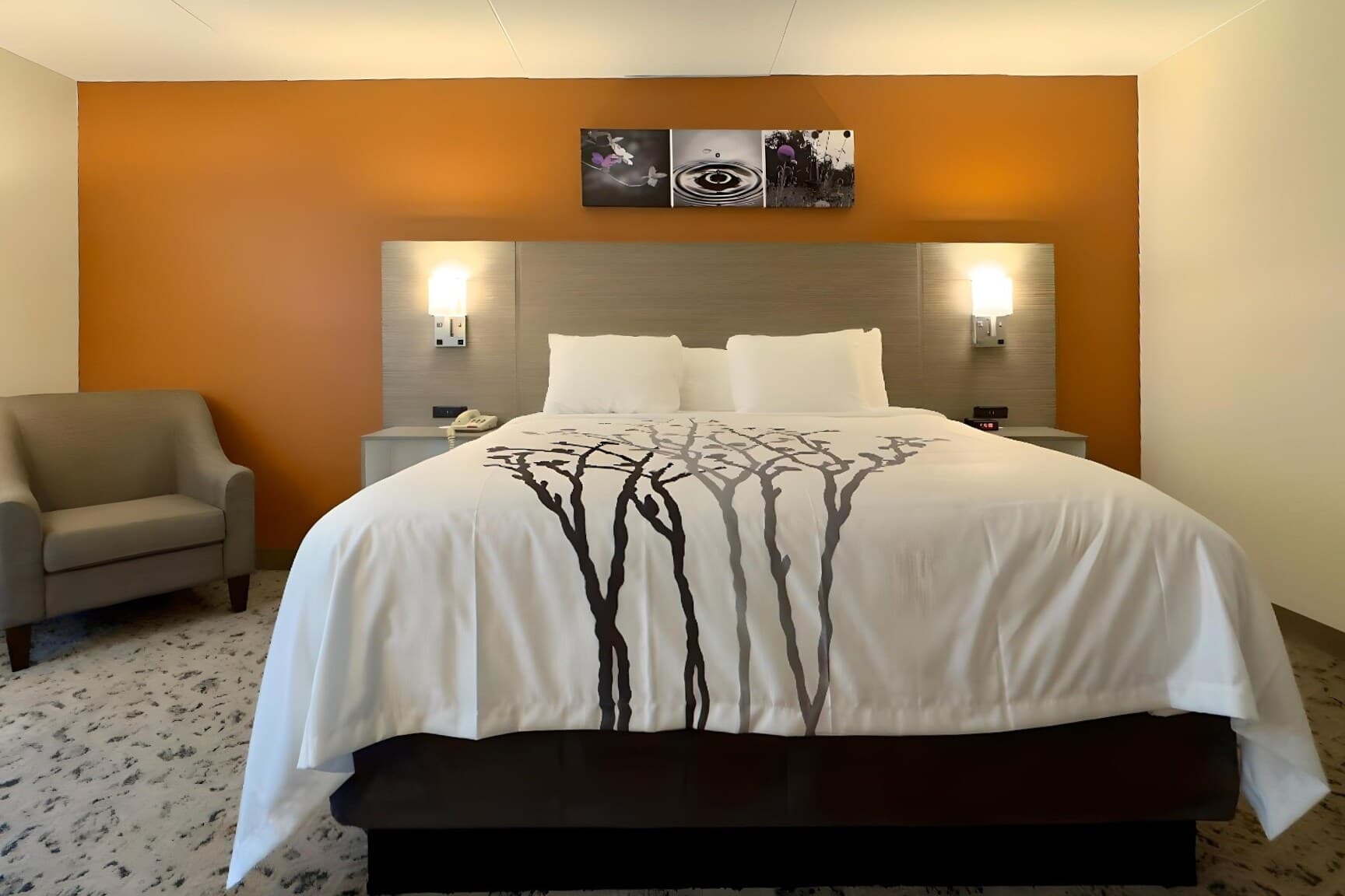 Sleep Inn Chambersburg - Image 1