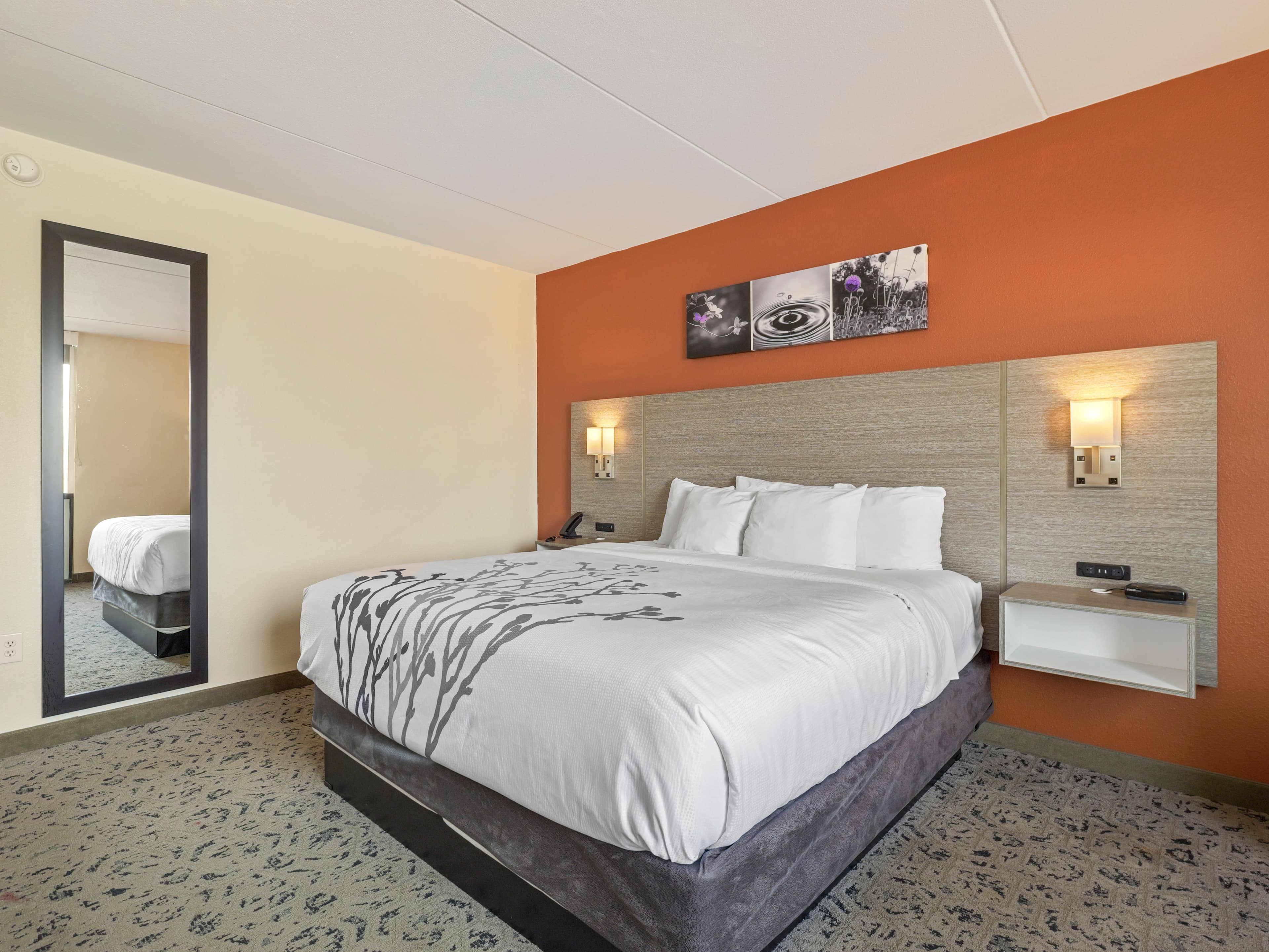 Sleep Inn Chambersburg — 19