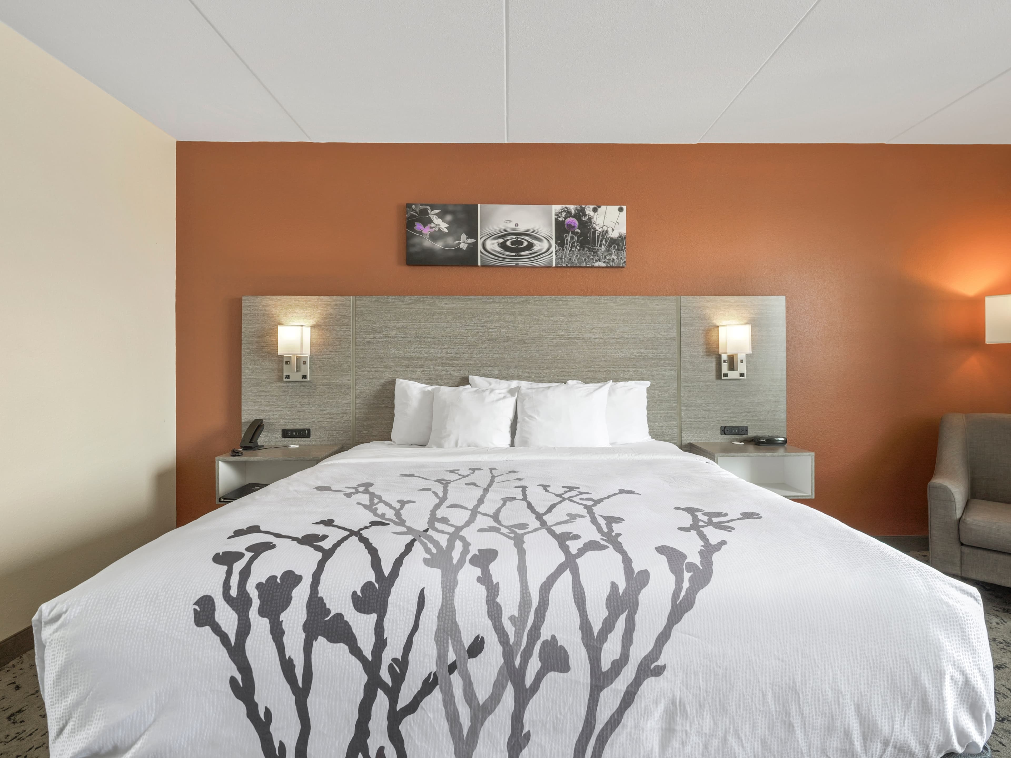 Sleep Inn Chambersburg — 20