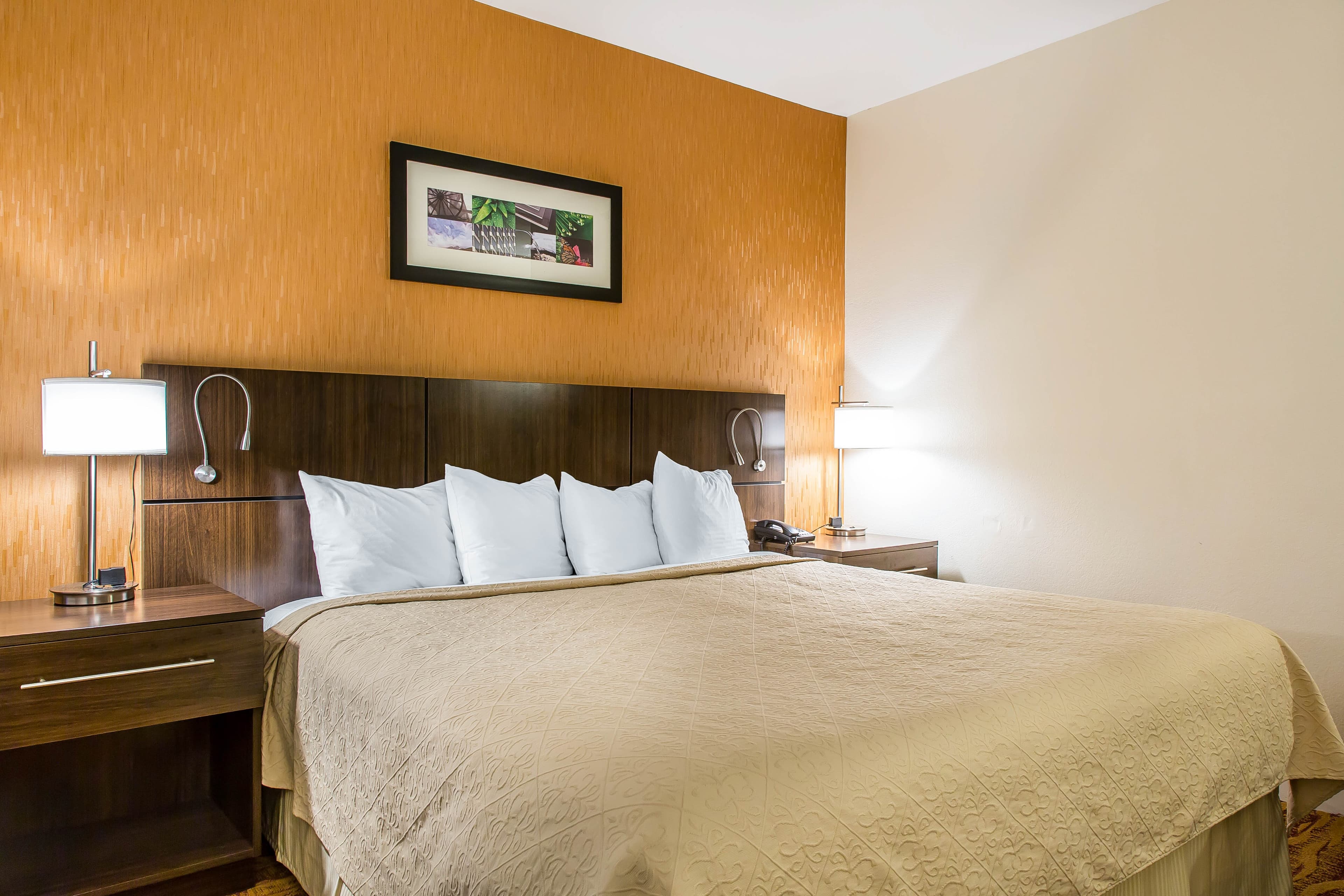 Quality Inn & Suites Middletown - Newport - Image 5