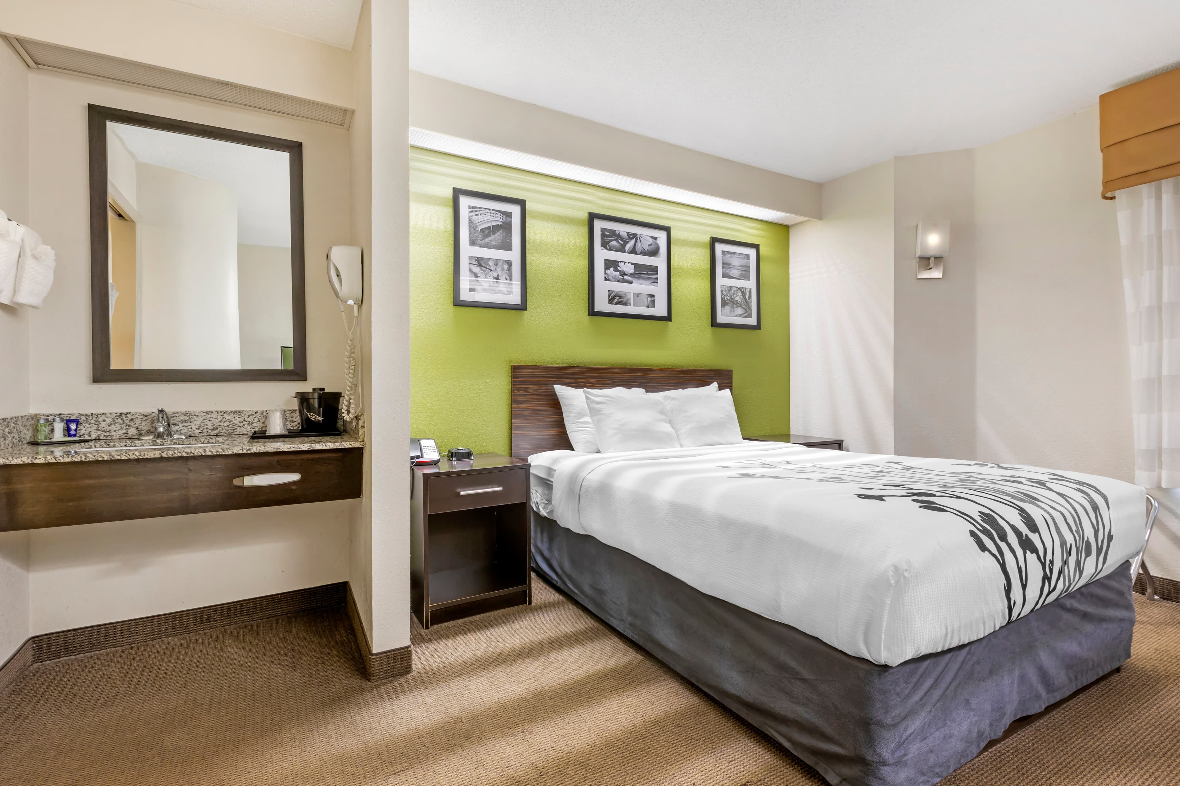 Sleep Inn at Greenville Convention Center - Image 3