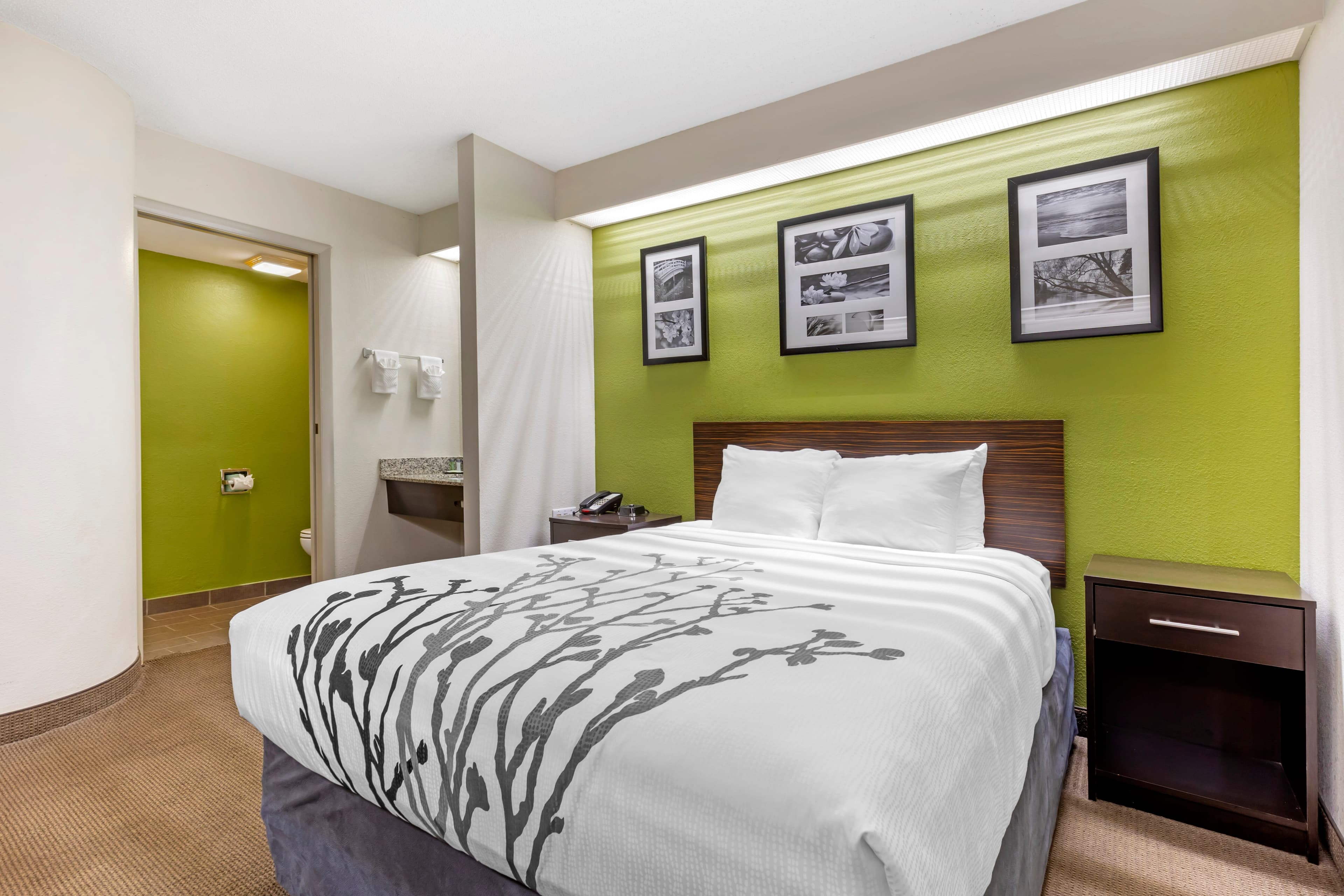 Sleep Inn at Greenville Convention Center — 6