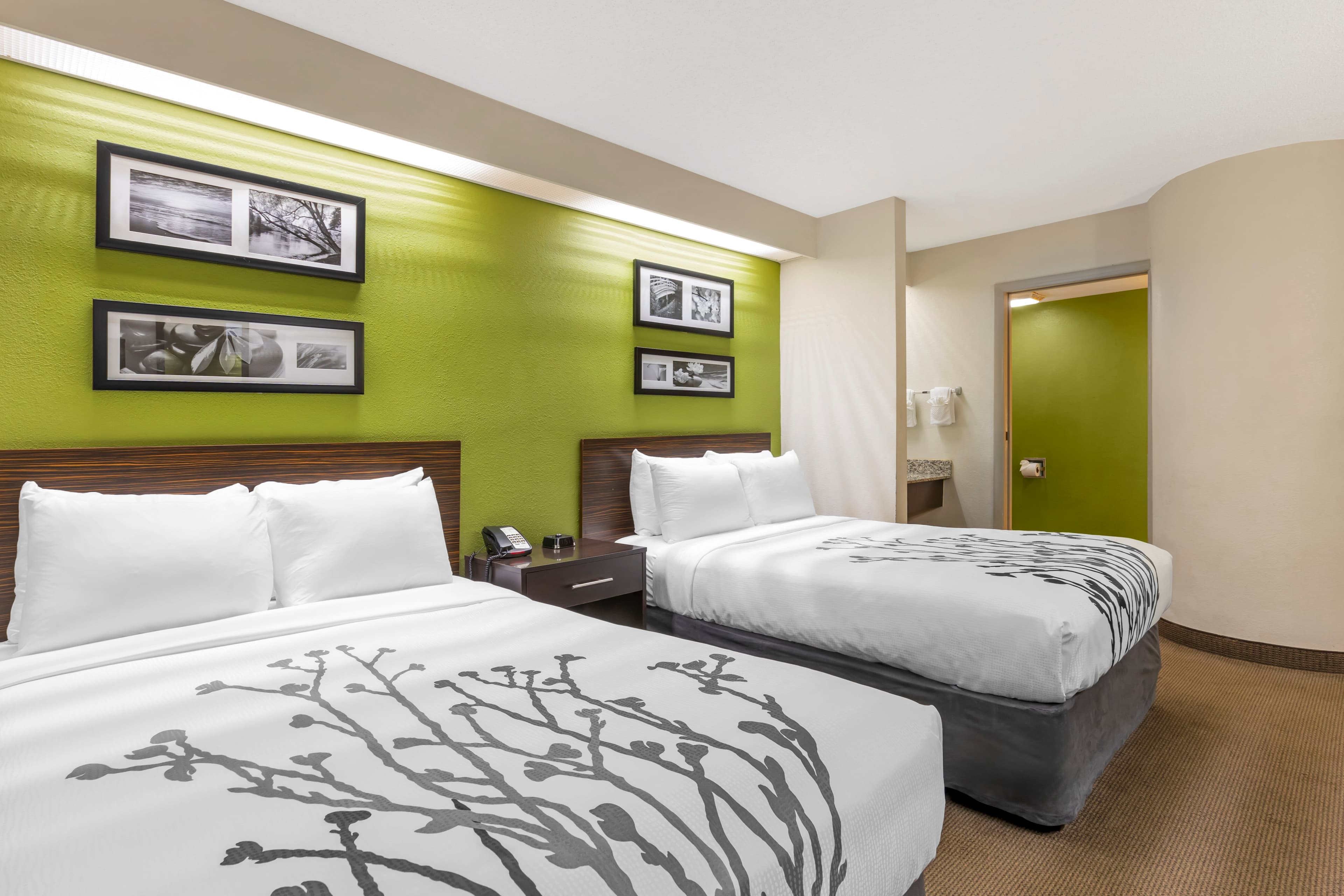 Sleep Inn at Greenville Convention Center — 19