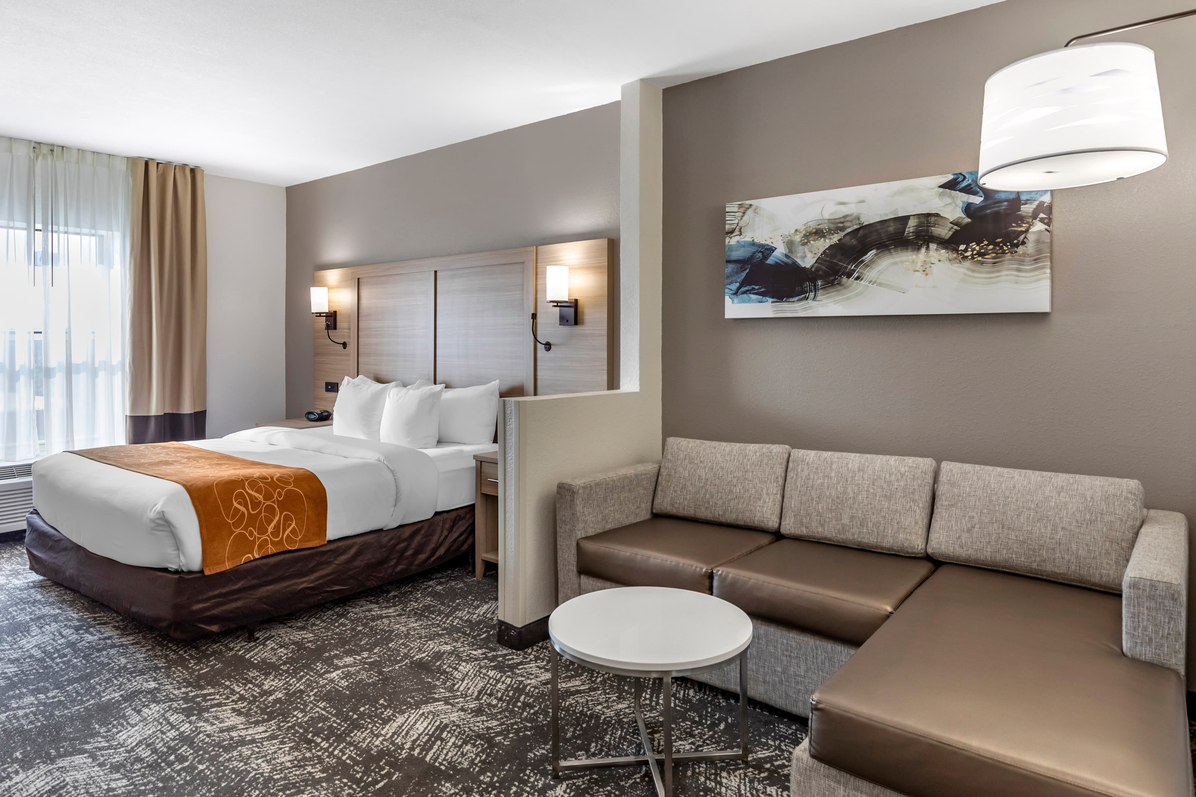 Comfort Suites Anderson-Clemson - Image 2