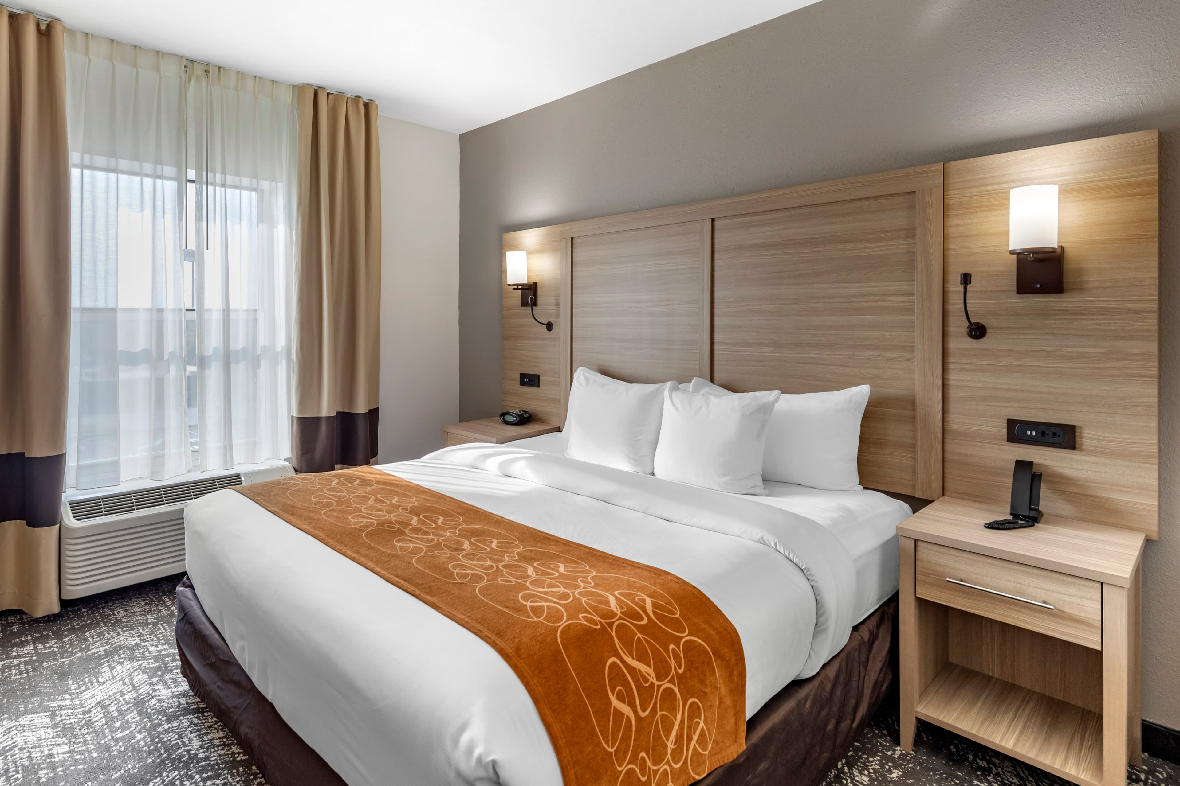 Comfort Suites Anderson-Clemson - Image 3