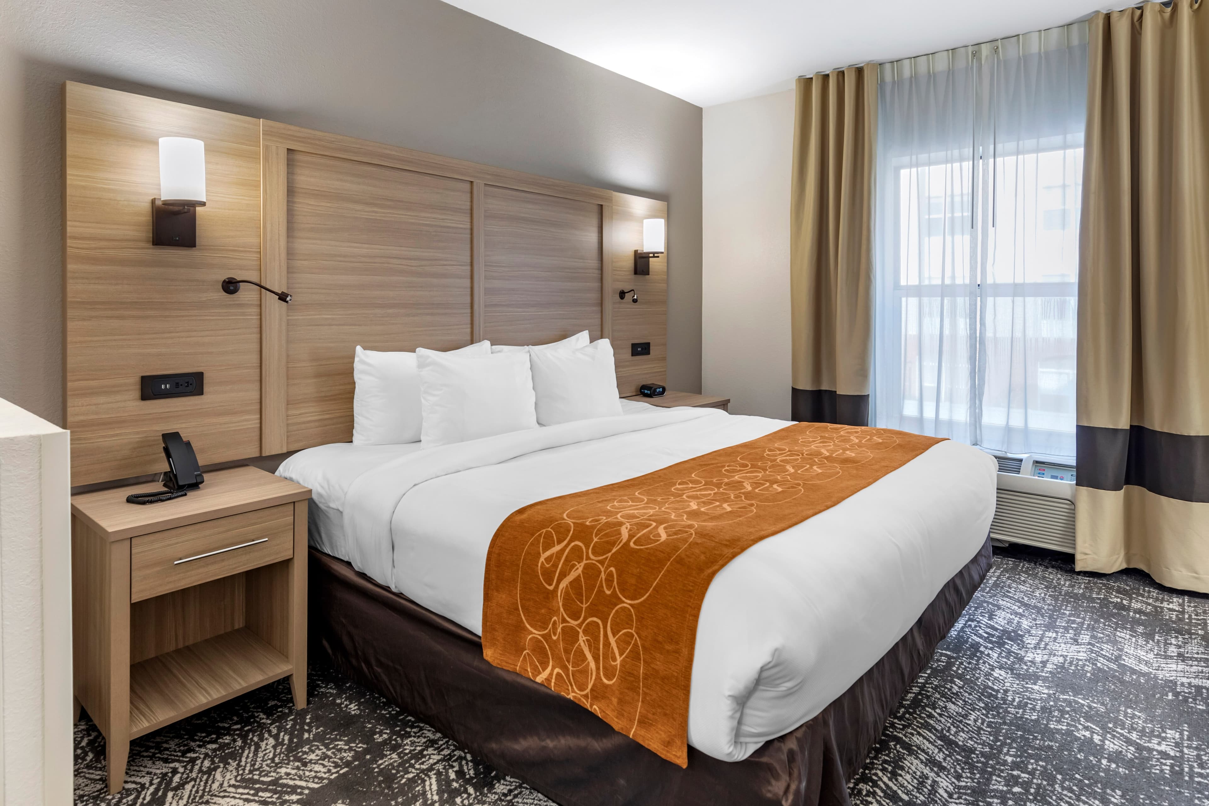 Comfort Suites Anderson-Clemson — 10