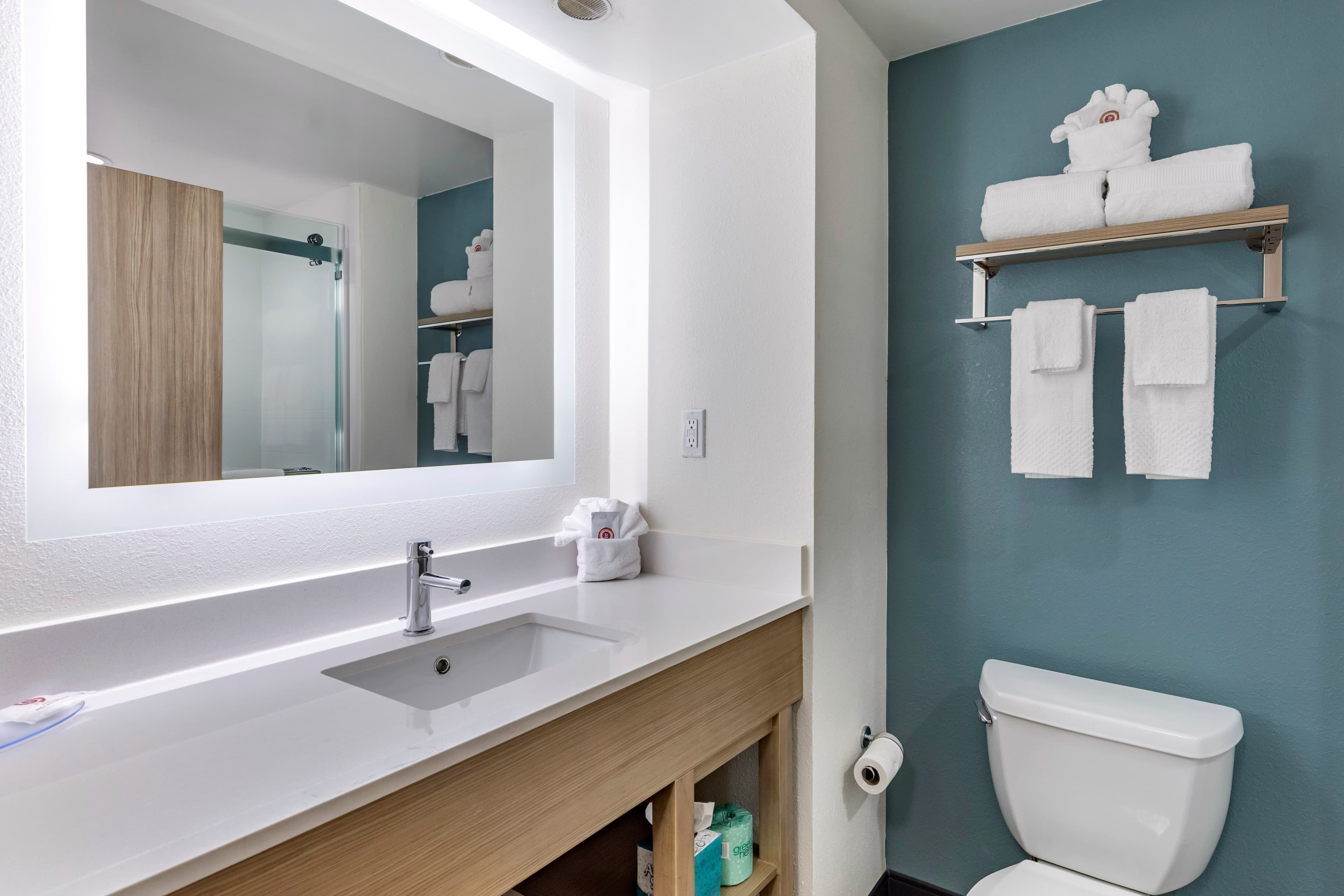 Comfort Suites Anderson-Clemson — 13