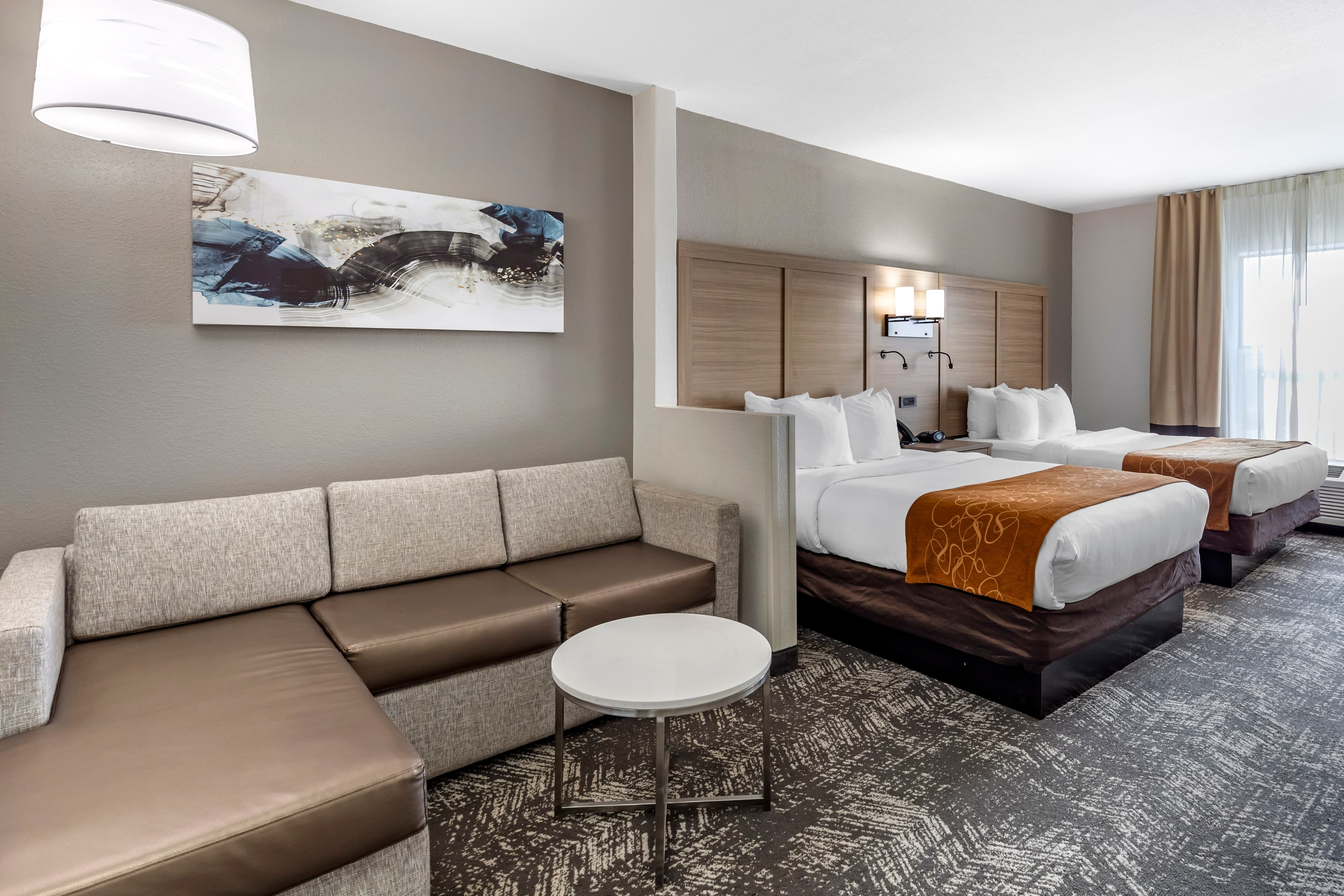 Comfort Suites Anderson-Clemson — 14