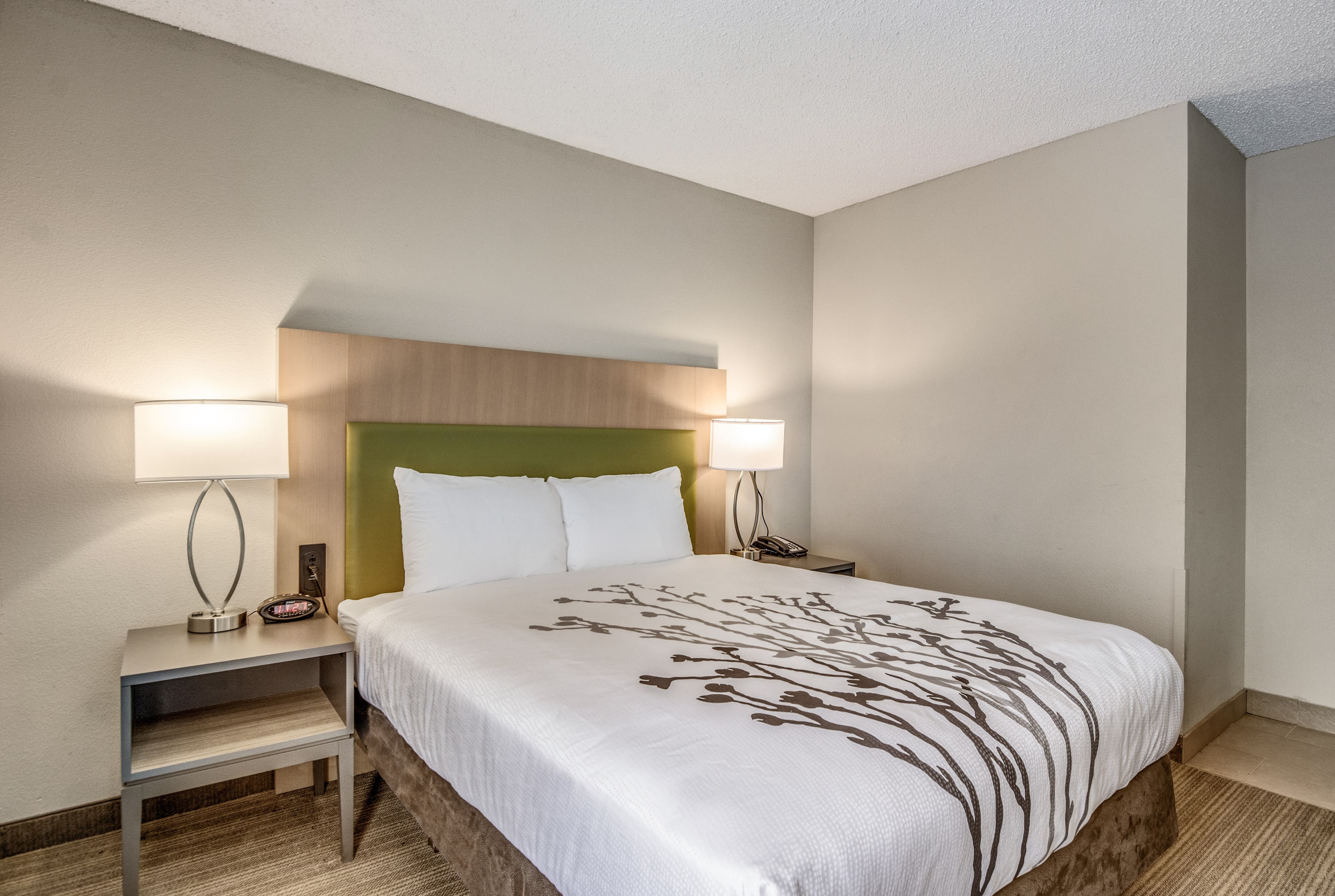 Sleep Inn Fort Mill near Carowinds Blvd. - Image 4
