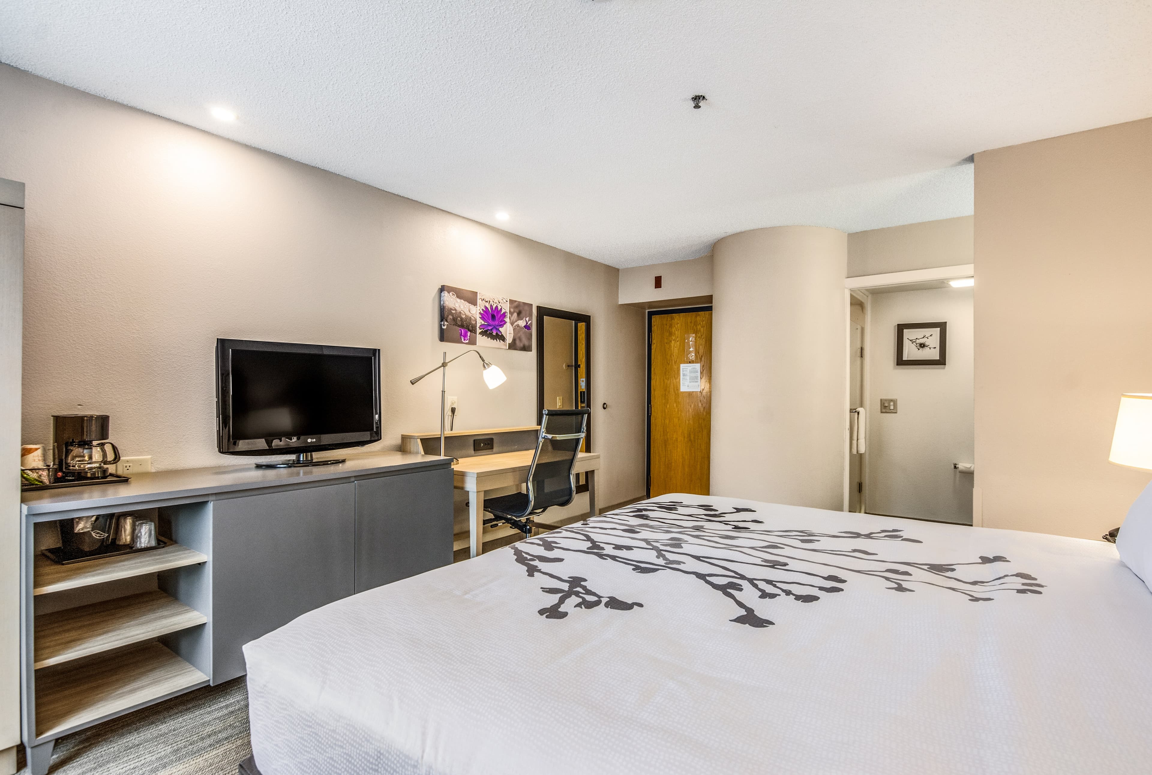 Sleep Inn Fort Mill near Carowinds Blvd. — 8