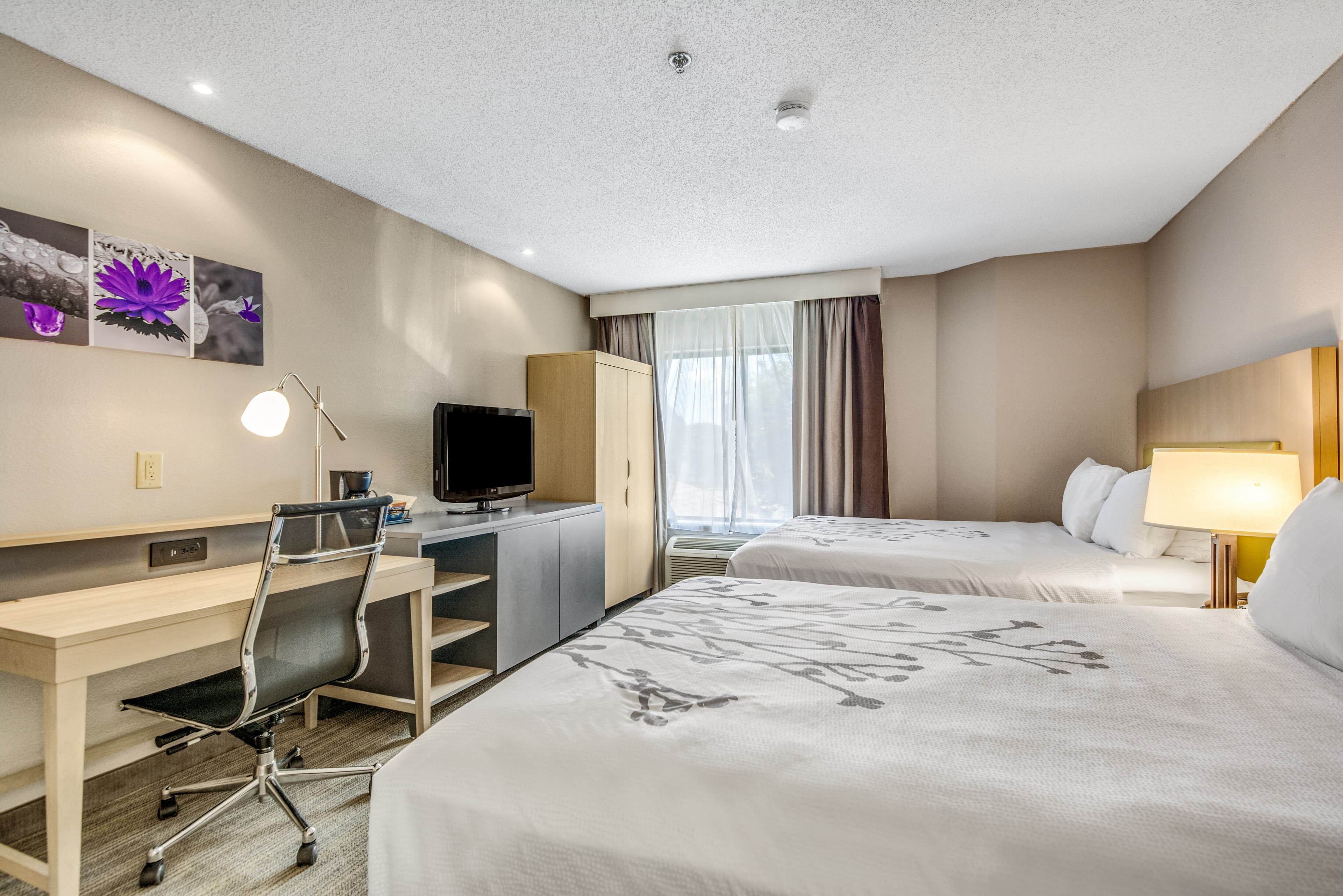 Sleep Inn Fort Mill near Carowinds Blvd. — 11