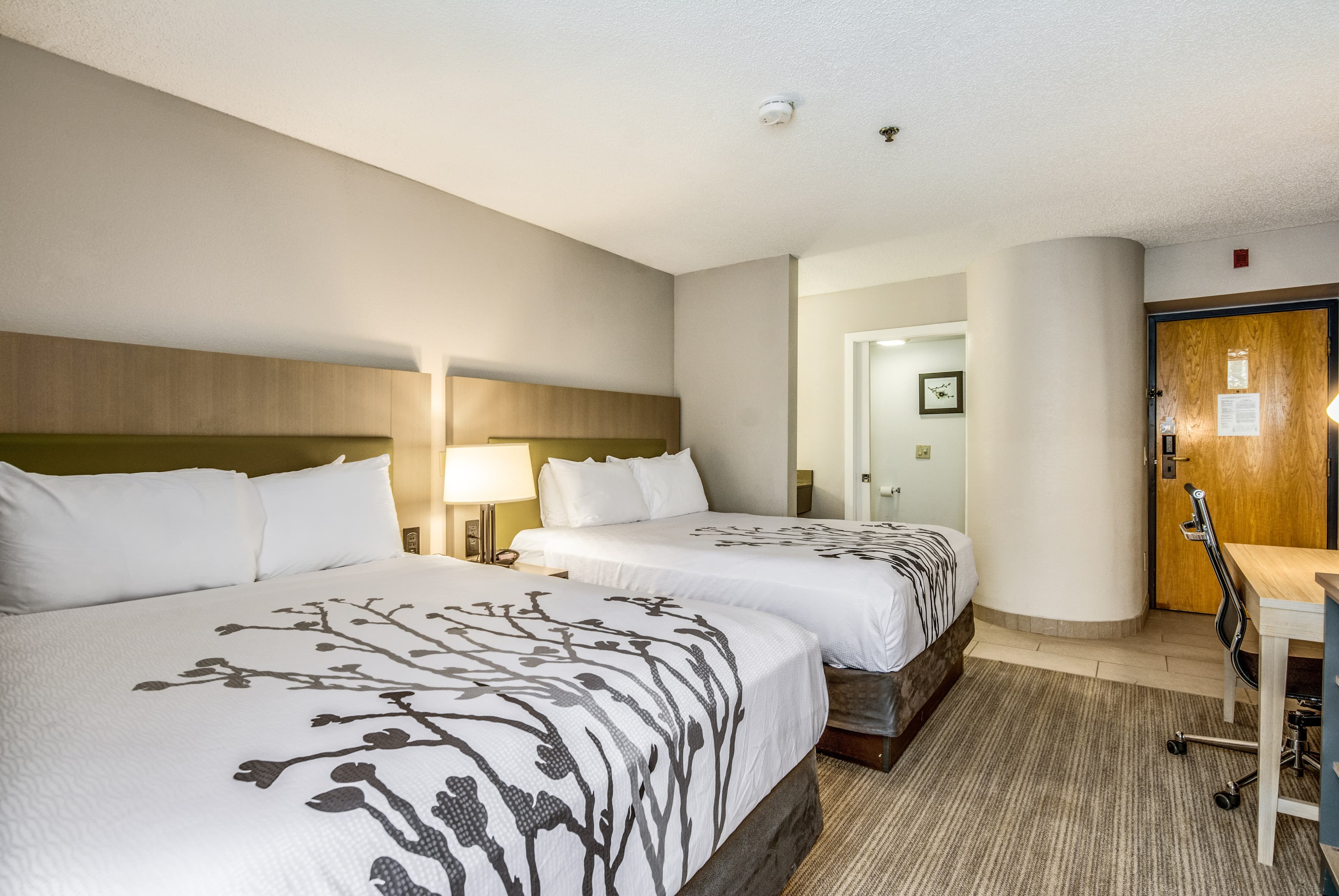 Sleep Inn Fort Mill near Carowinds Blvd. — 12