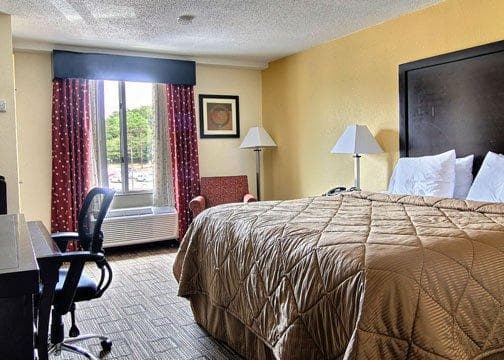 Quality Inn & Suites Greenville near downtown — 8