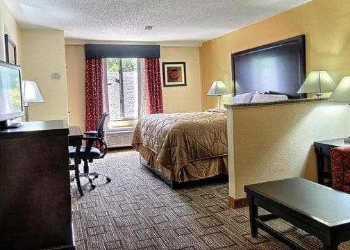 Quality Inn & Suites Greenville near downtown — 9