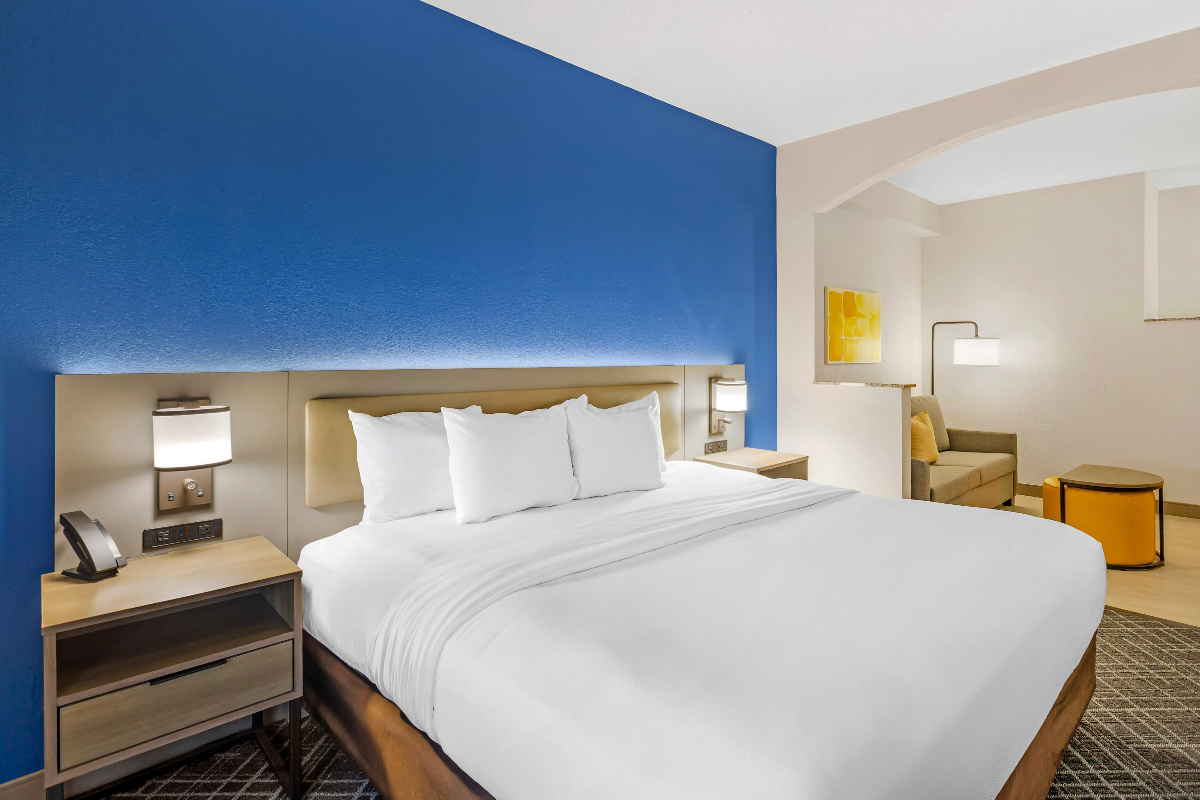 Comfort Suites Sumter near Shaw AFB - Image 3