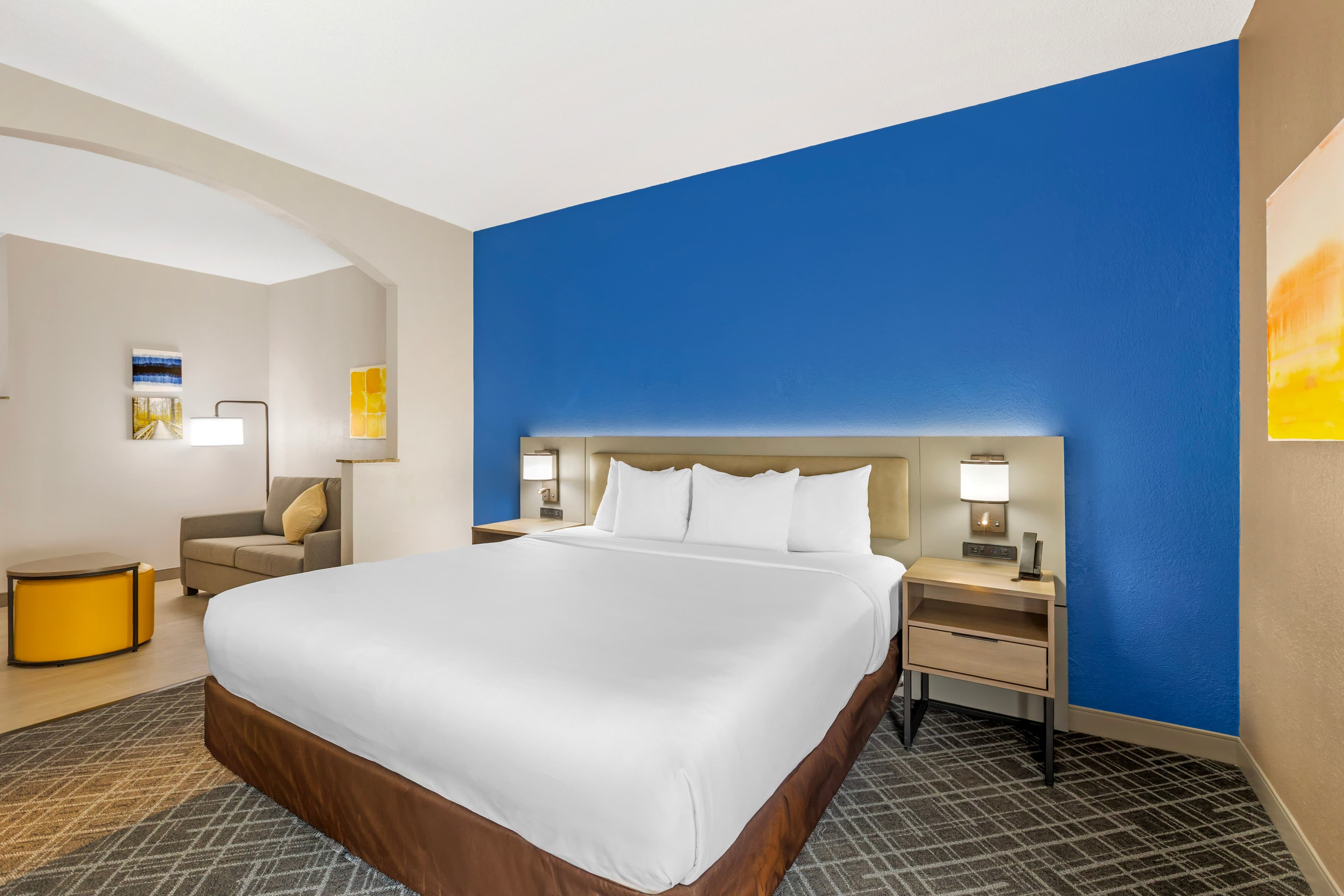 Comfort Suites Sumter near Shaw AFB — 11