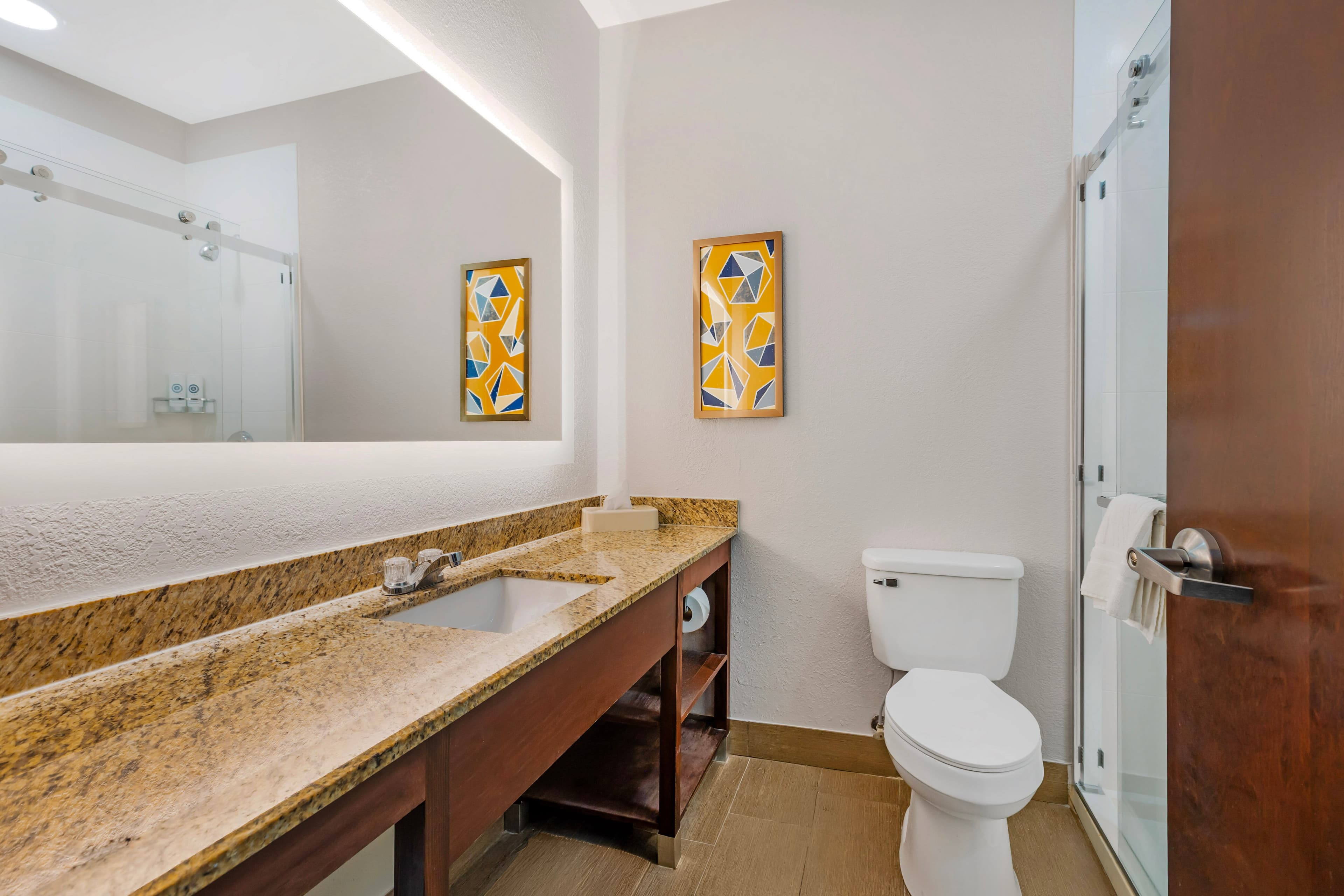Comfort Suites Sumter near Shaw AFB — 13