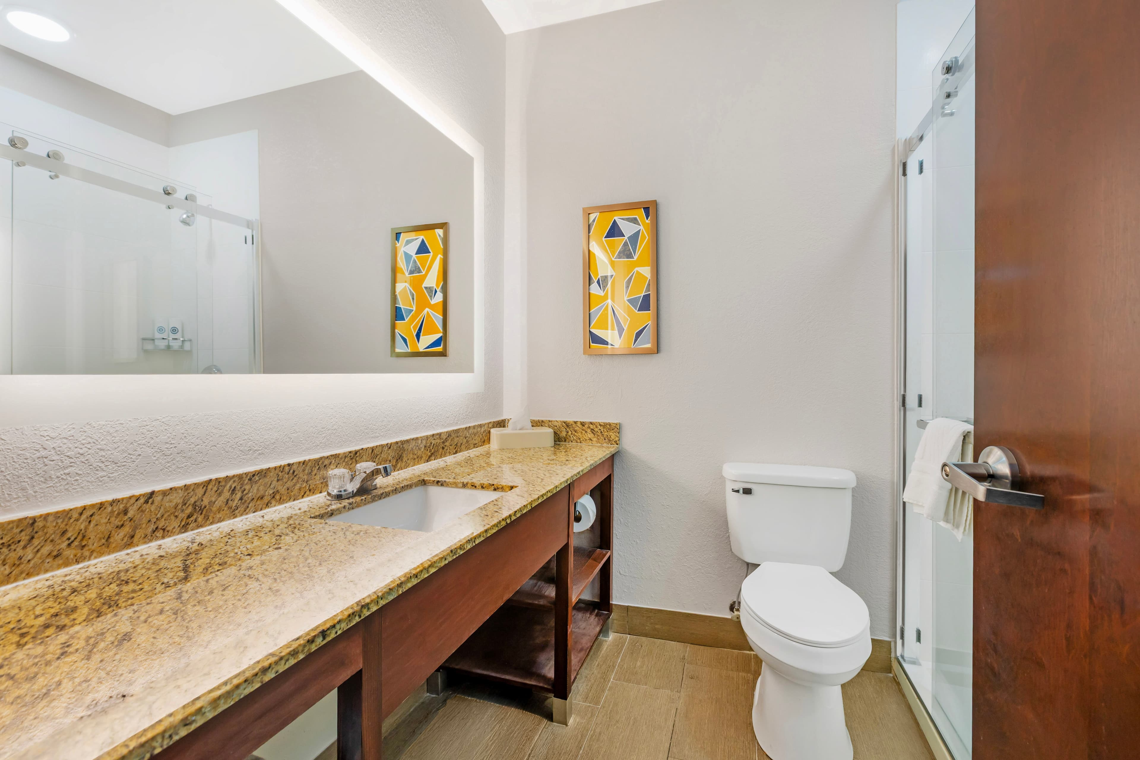 Comfort Suites Sumter near Shaw AFB — 23