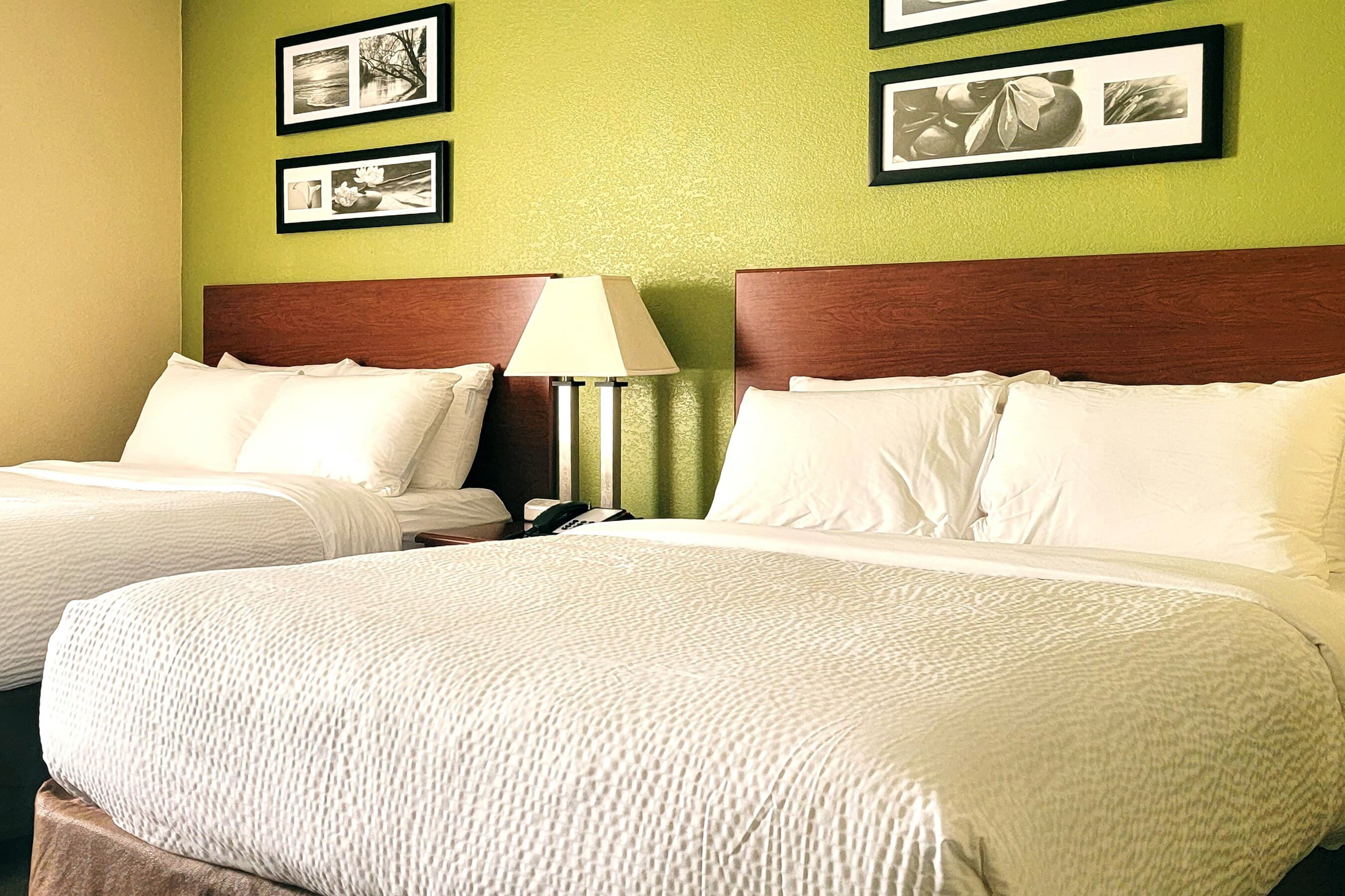 Sleep Inn Near Ft. Jackson - Image 3