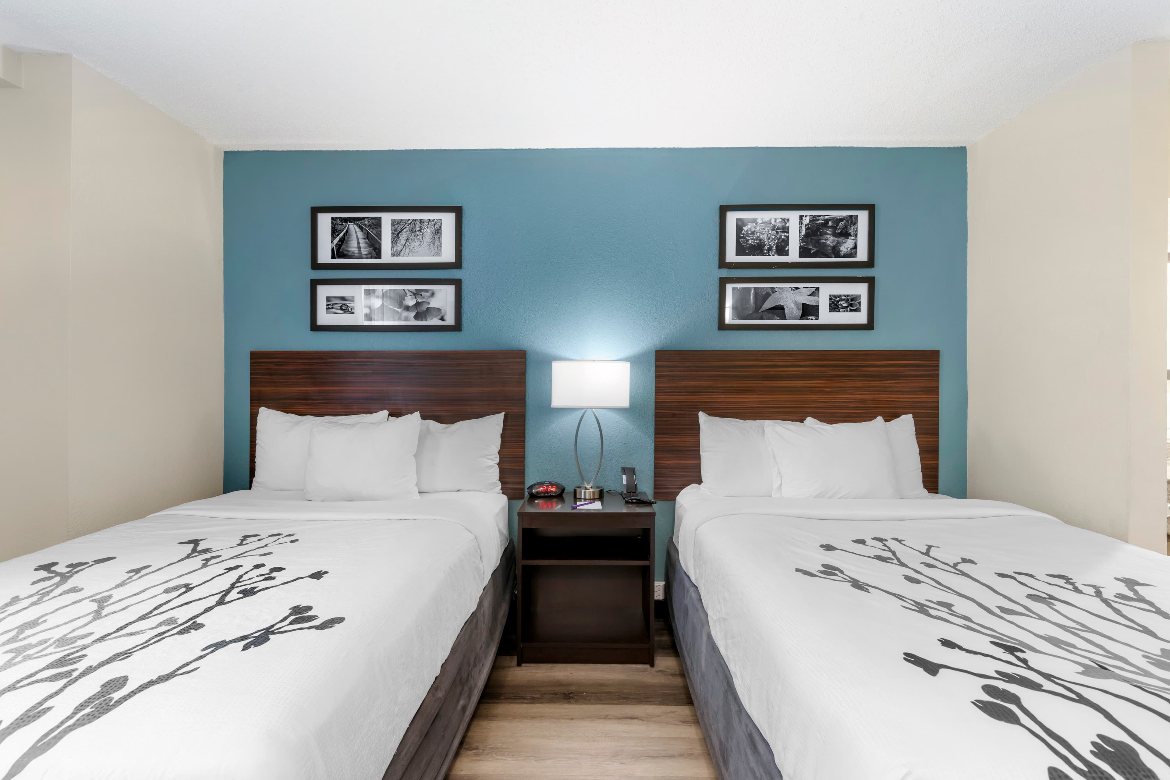 Sleep Inn Mt. Pleasant - Charleston - Image 4