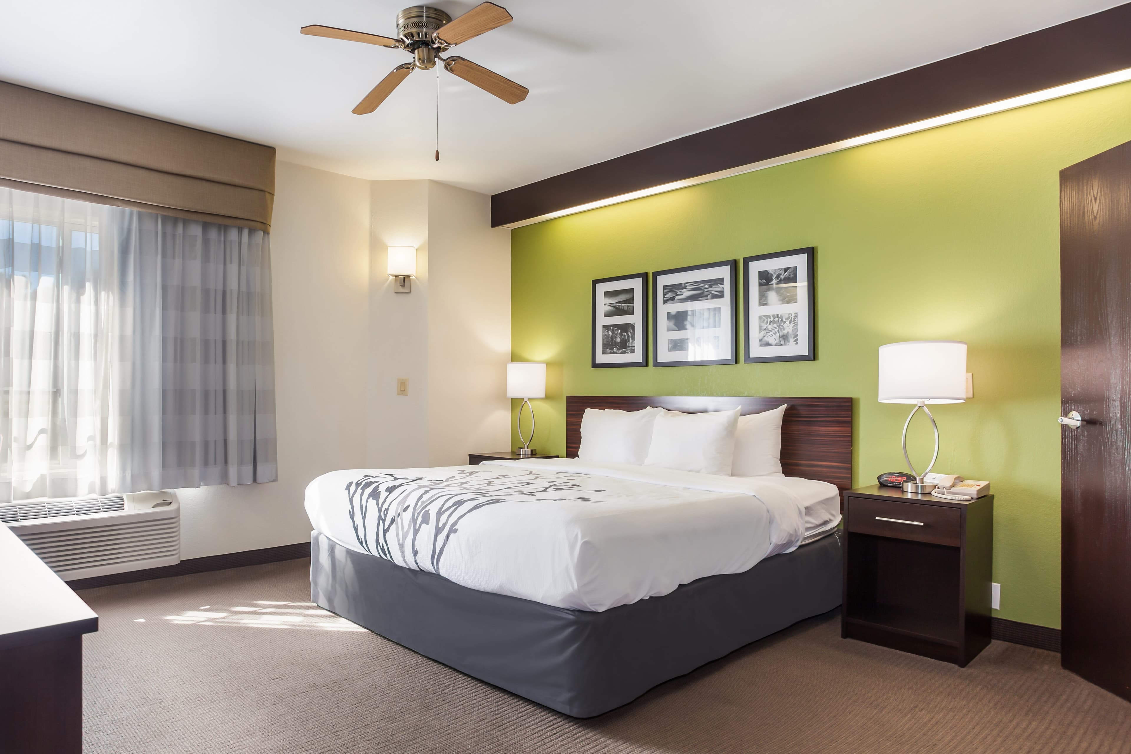 Sleep Inn Little River - North Myrtle Beach - Image 2