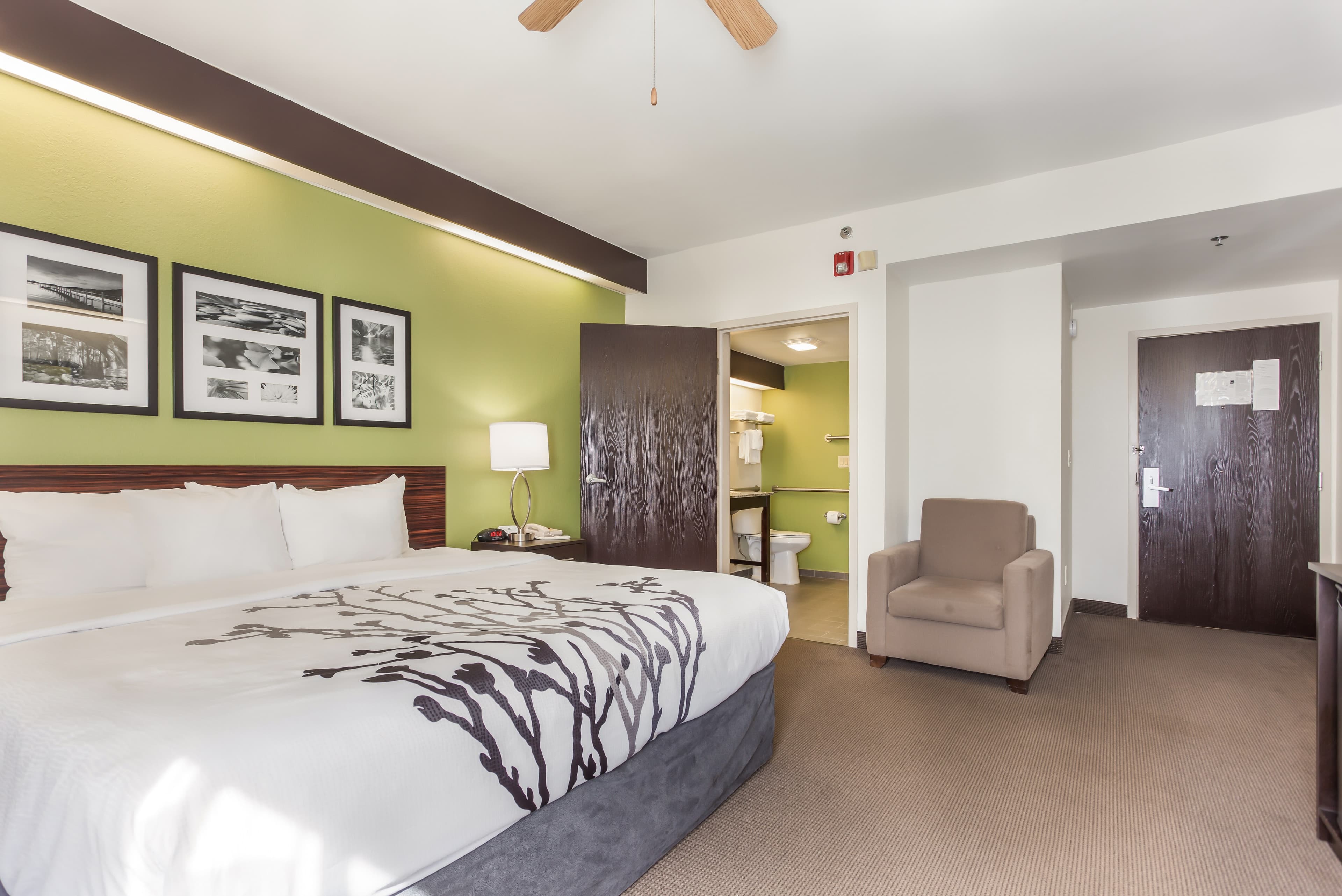 Sleep Inn Little River - North Myrtle Beach - Image 3
