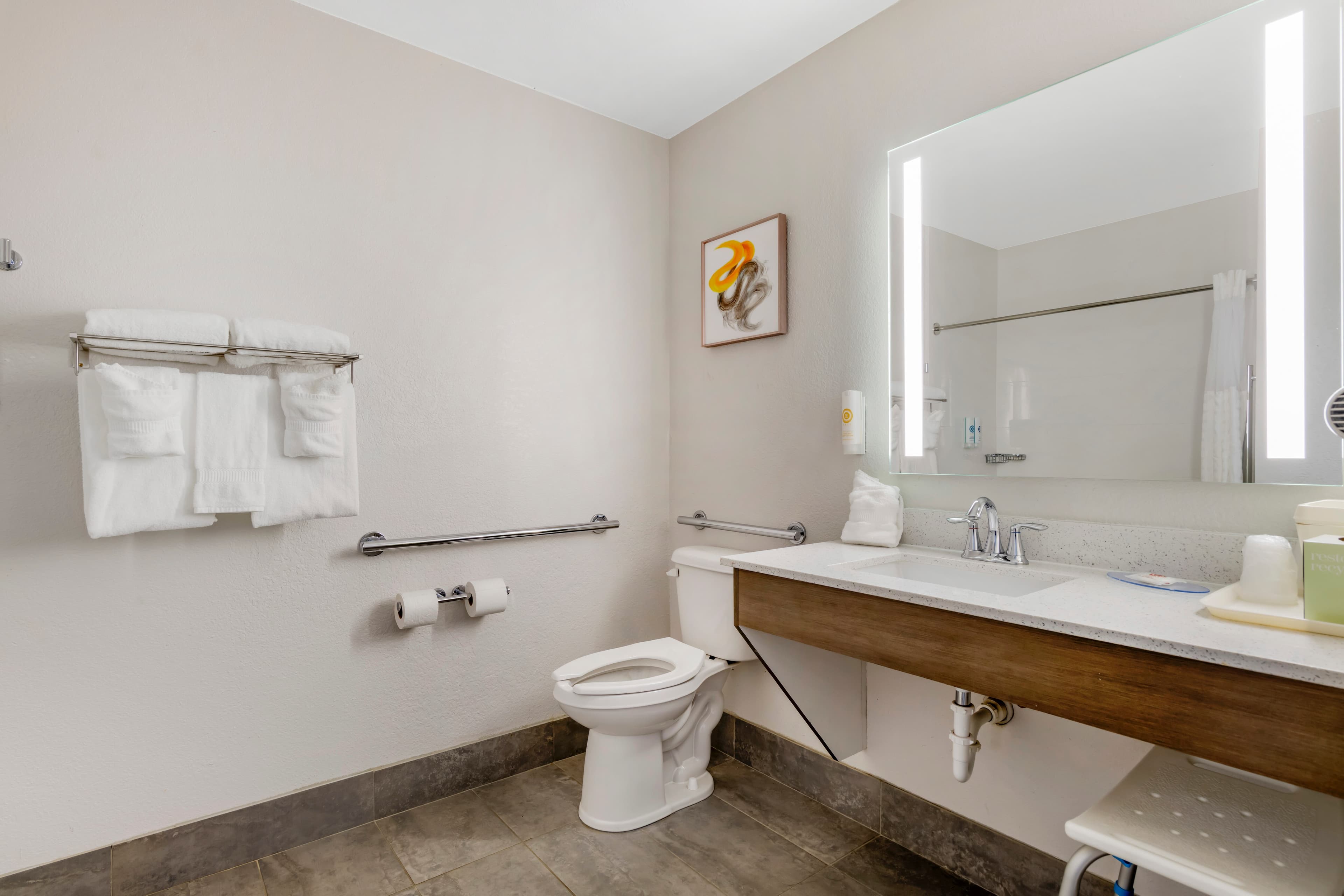 Comfort Inn & Suites Clemson - University Area — 8