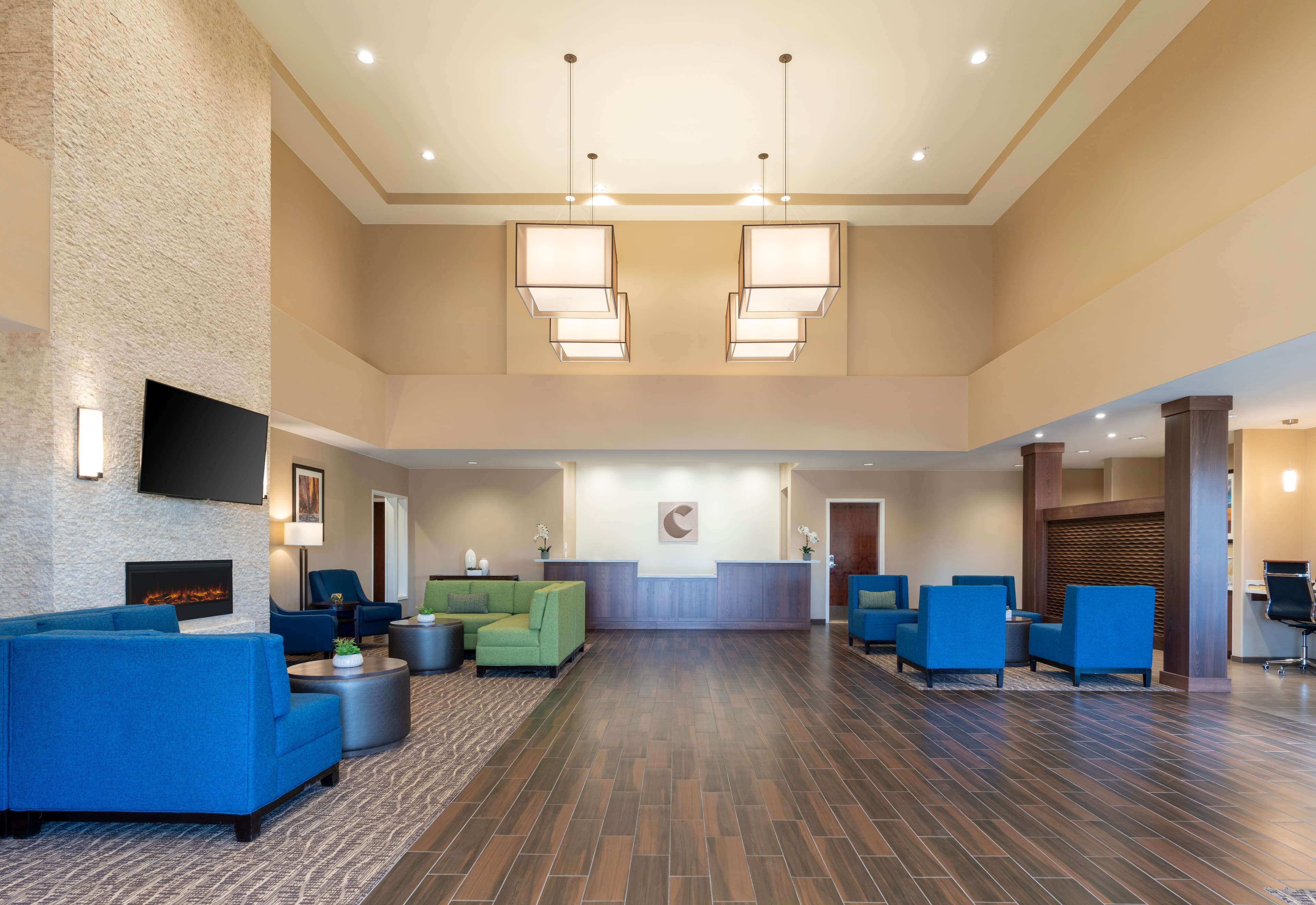 Comfort Suites Summerville - Image 1
