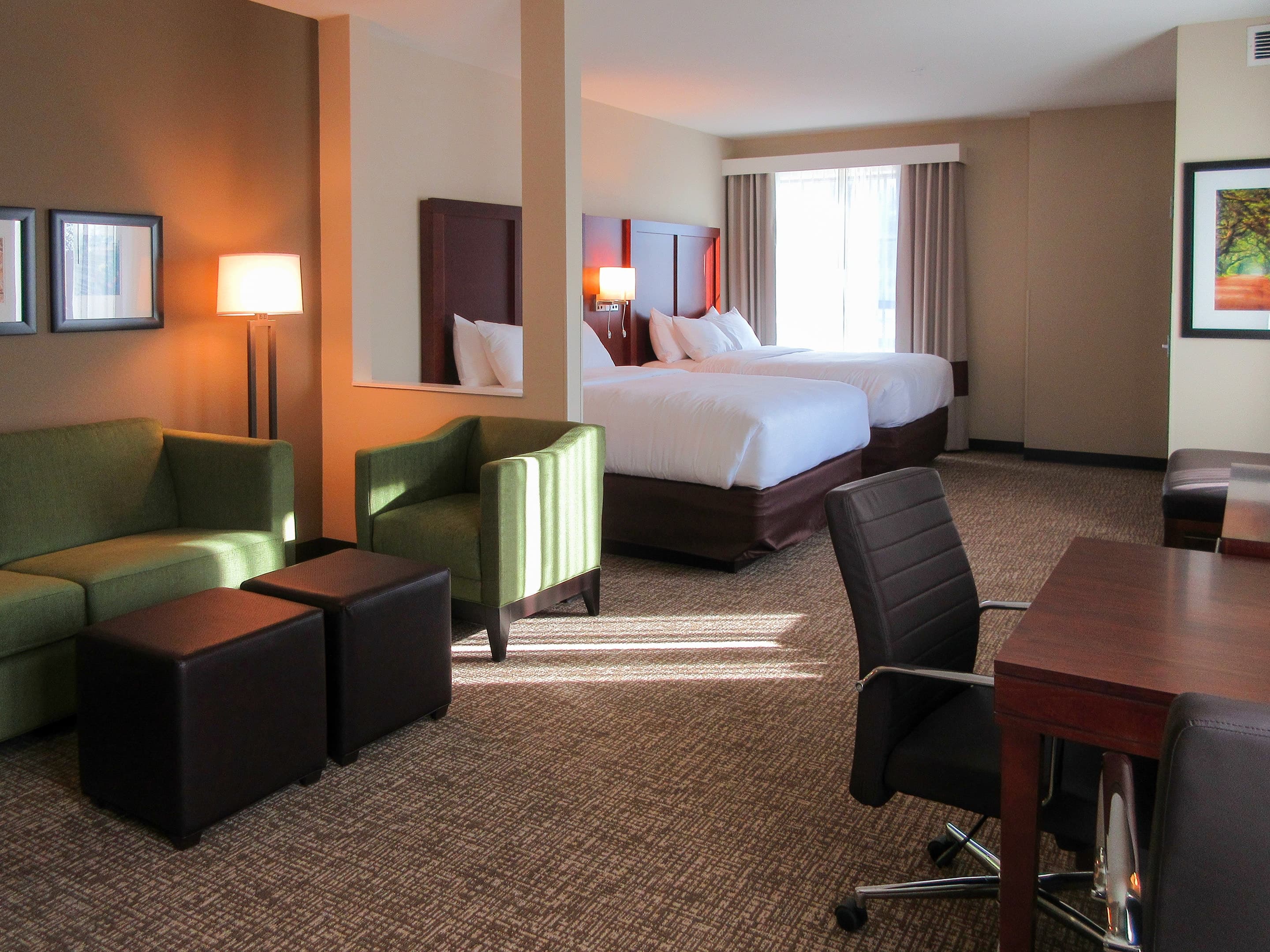 Comfort Suites Summerville — 6