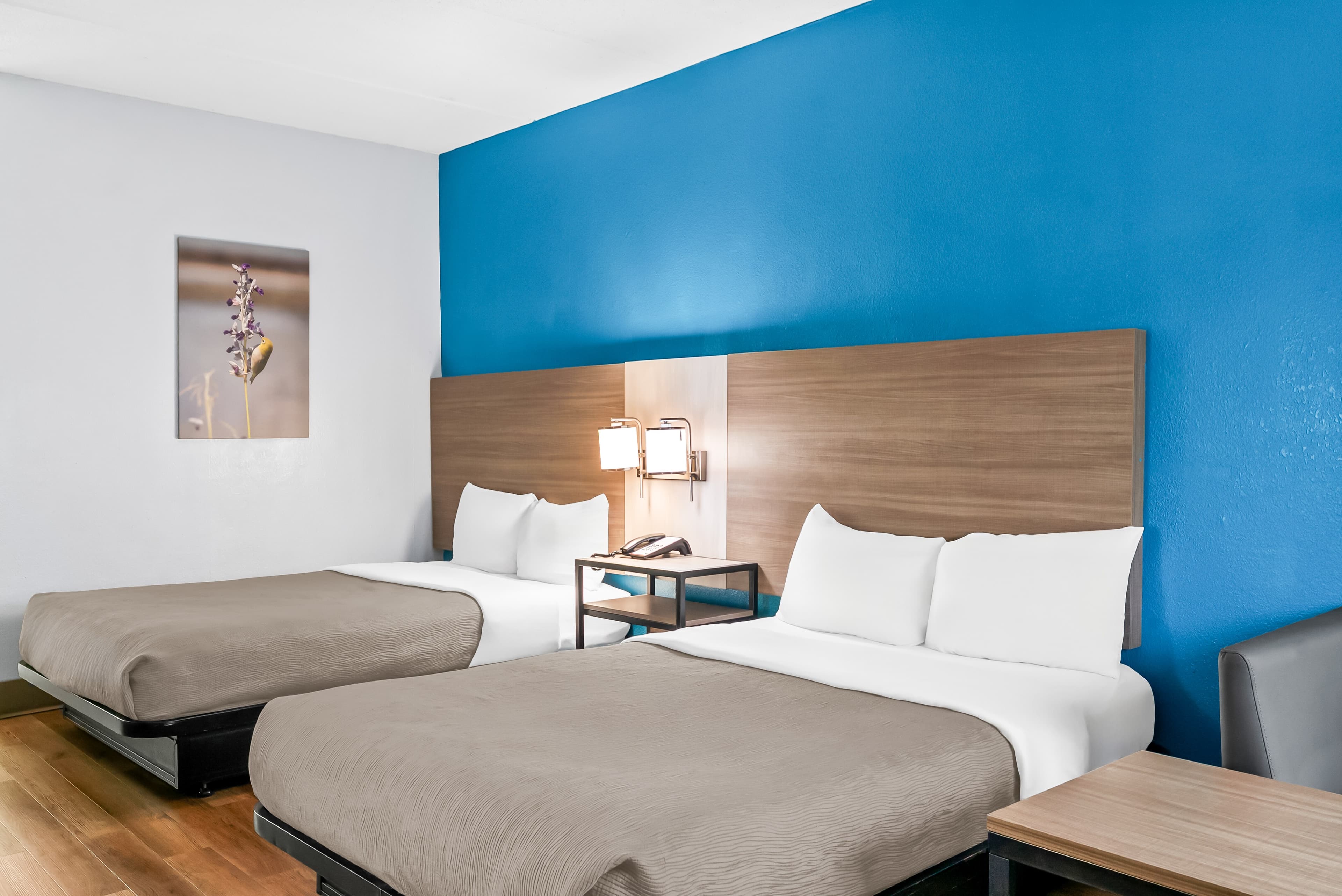 Quality Inn & Suites Aiken East - Image 2